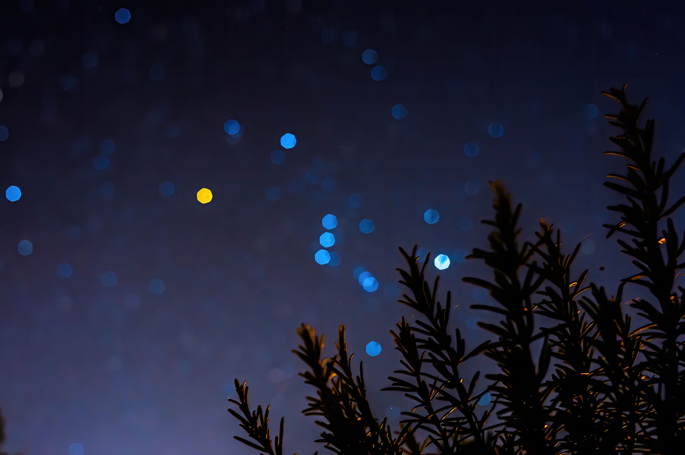 Dalle spezie allo spazio