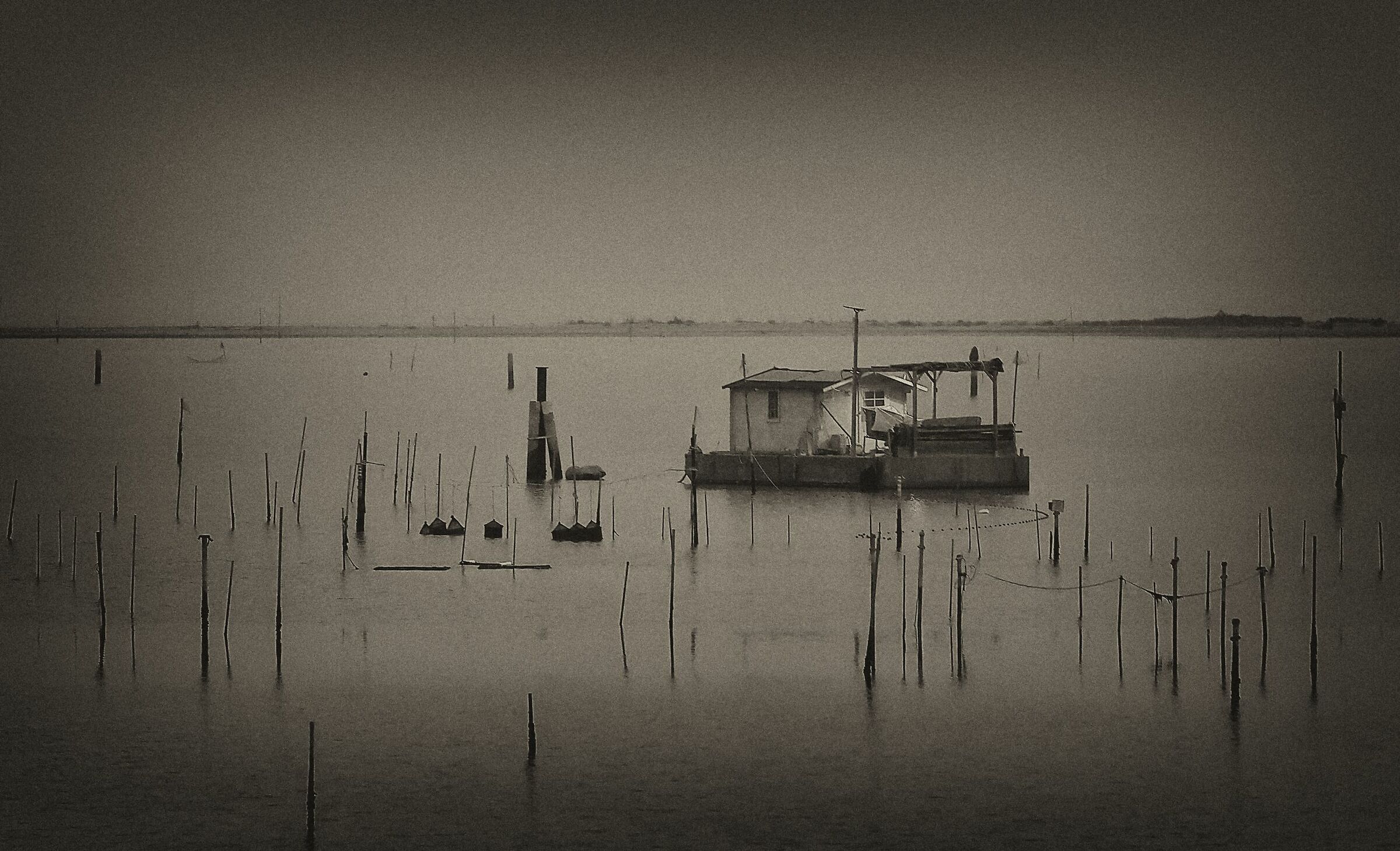 Scardovari Bag - 13/11/2020