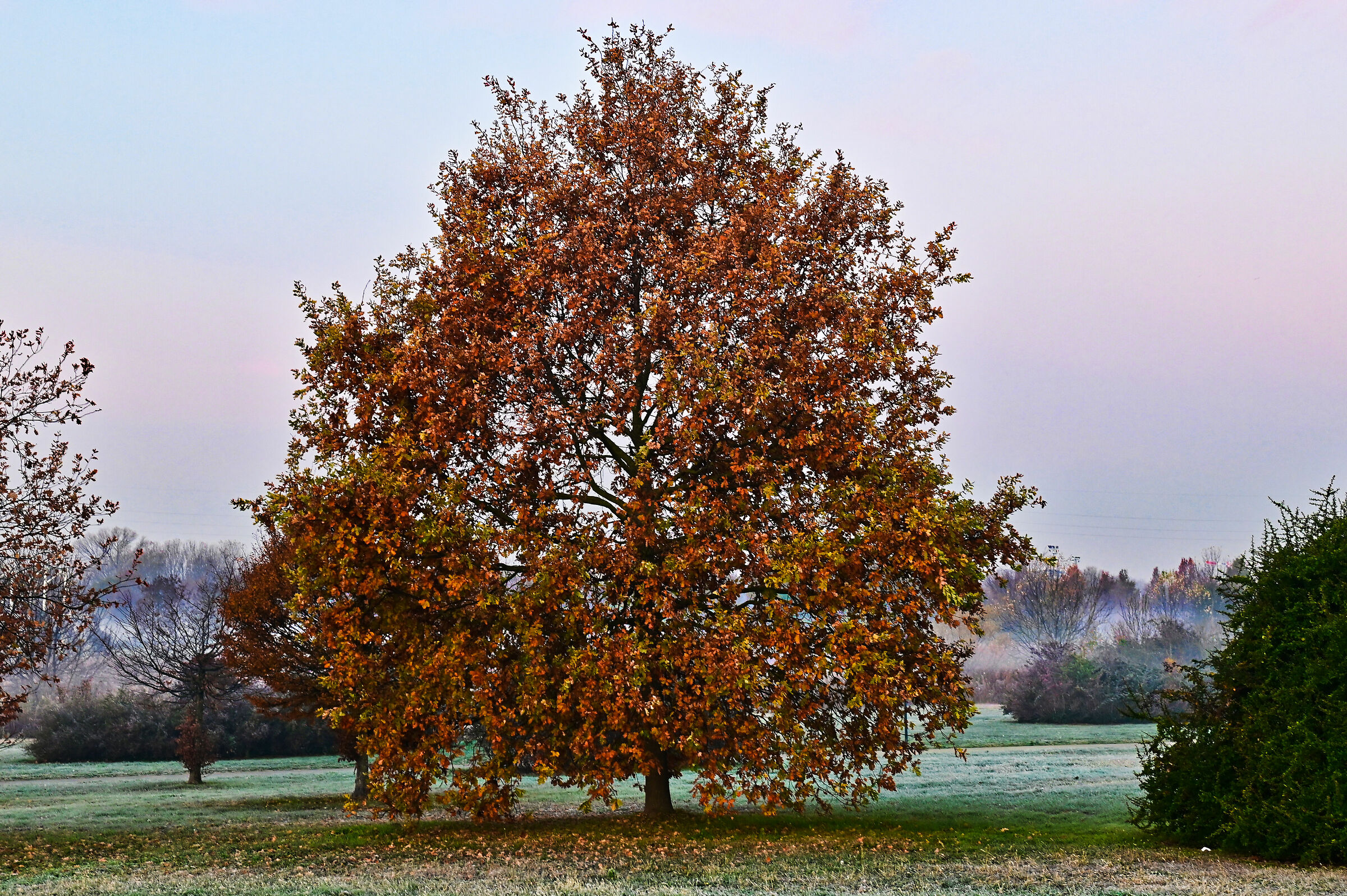 Classici colori di un Autunno inoltrato!