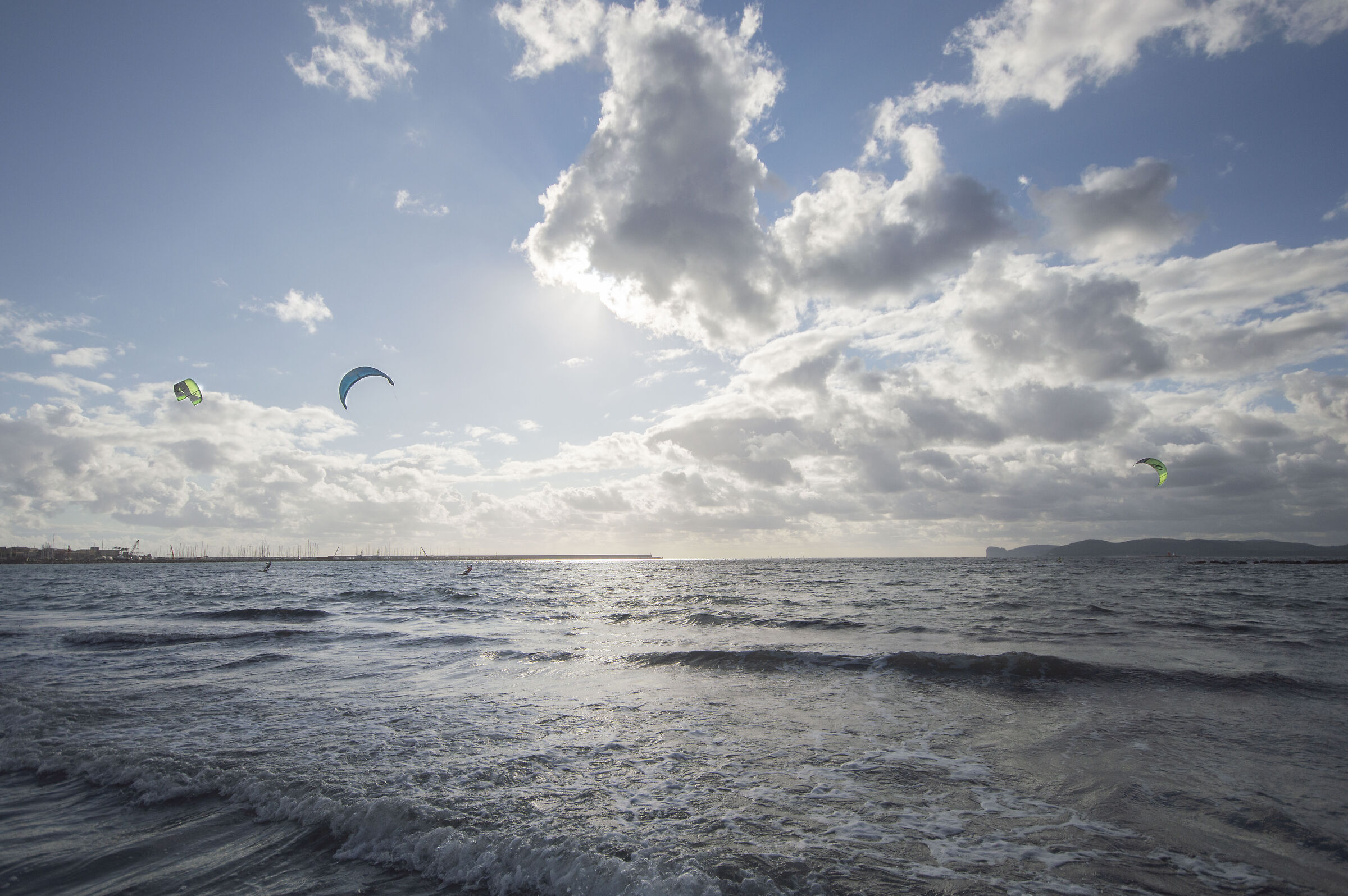 Alghero - Windsurfing on the beach at the lido
