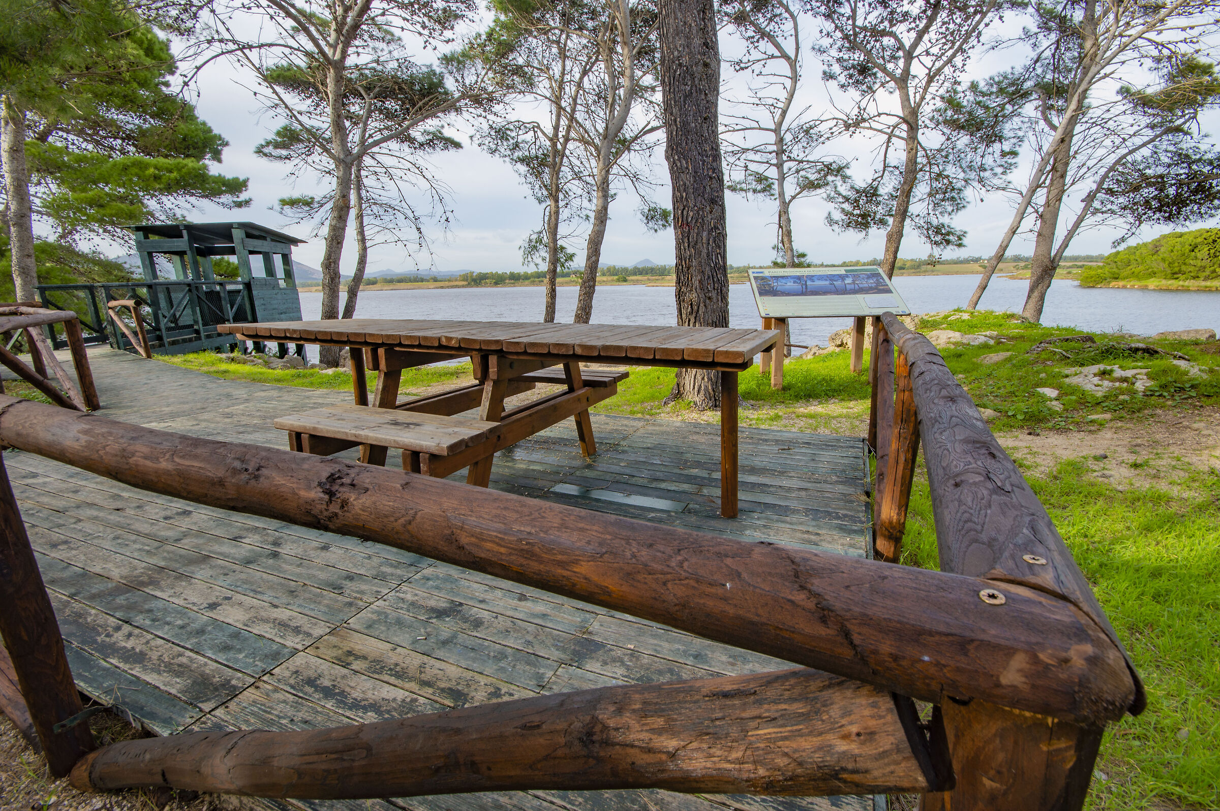 Alghero - Calik Pond - Avi-Fauna Photo Station