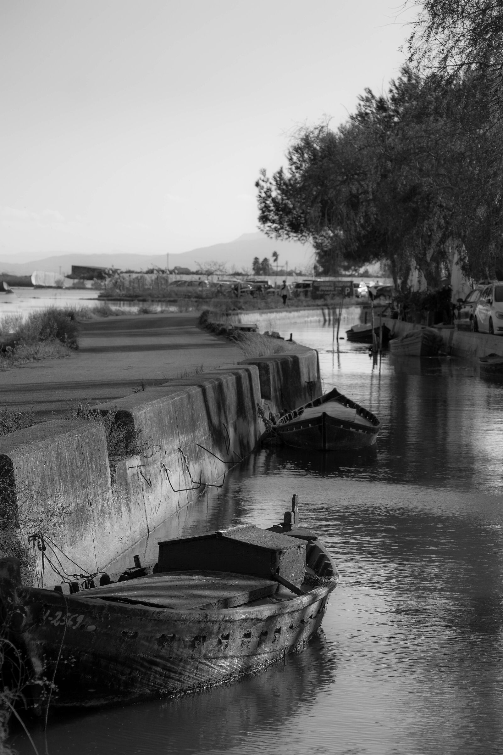 Parco Albufera (Spagna)