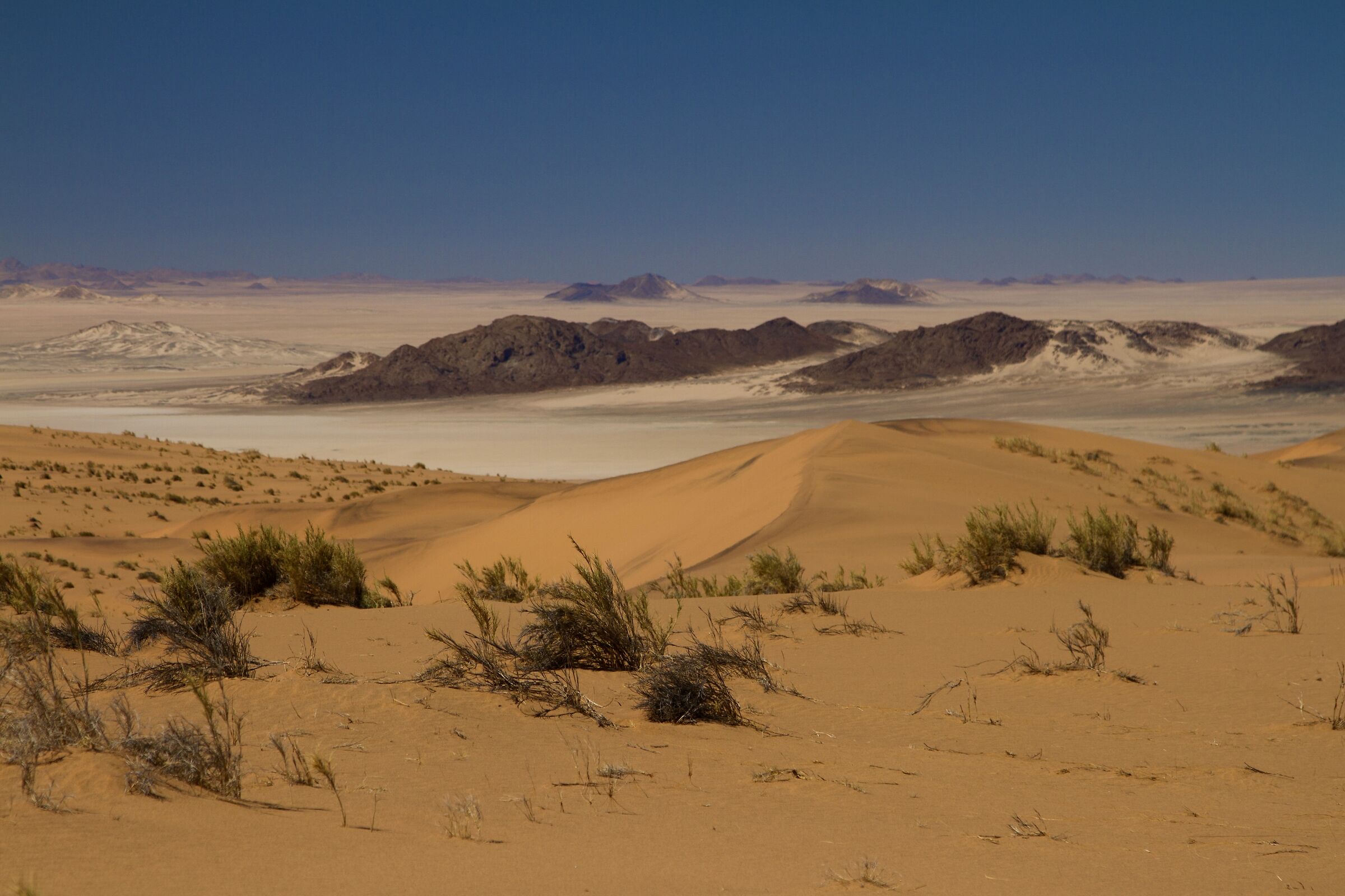 Insostenibile bellezza