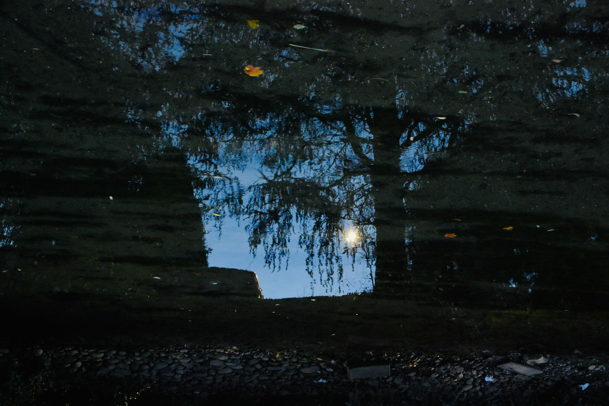 Riflessioni Notturne 2