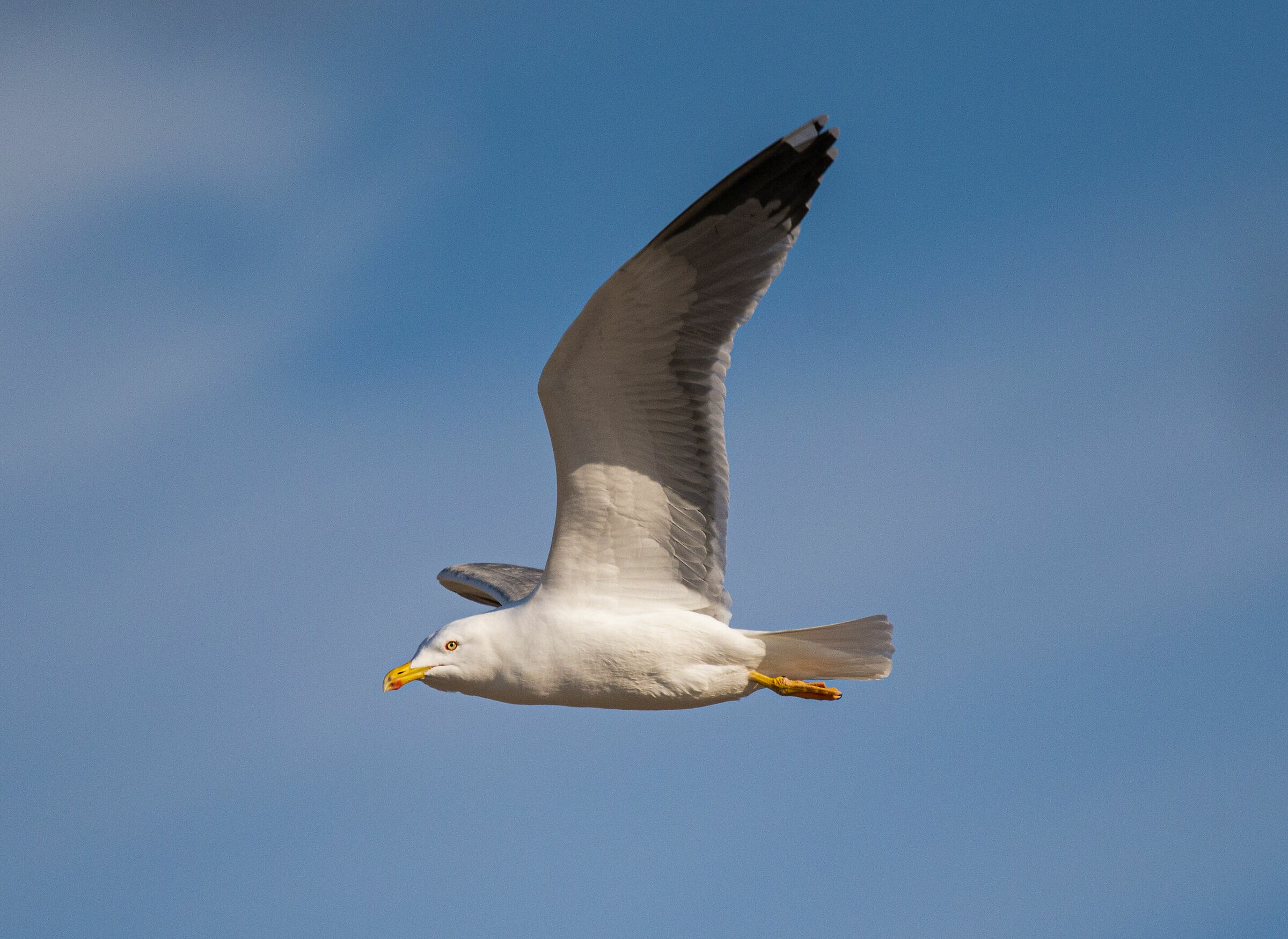 Il padrone della spiaggia