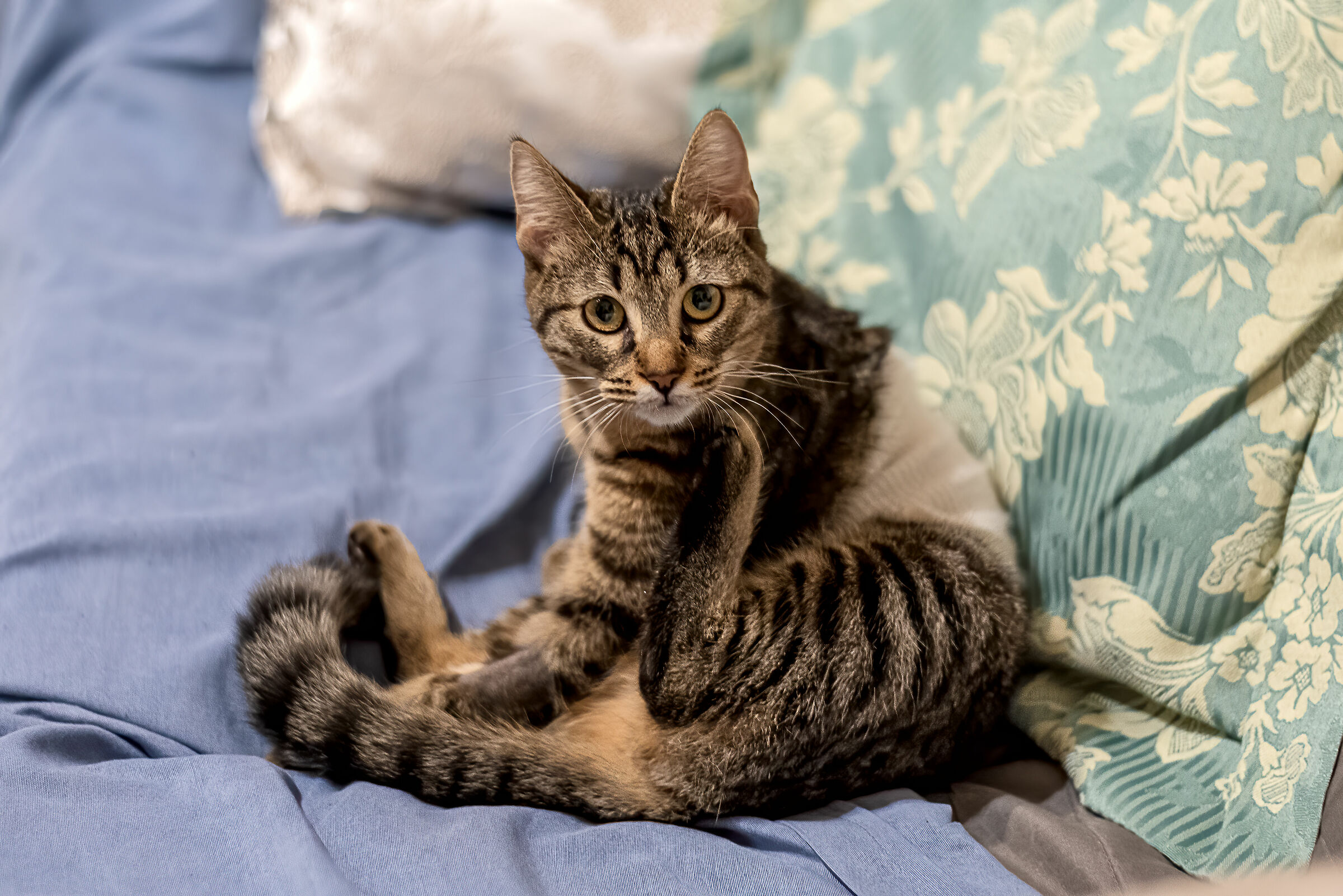 I woke up and ... you still have covid???