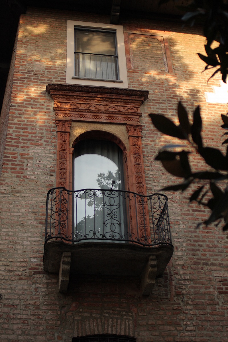 Looking out the window ... my beautiful