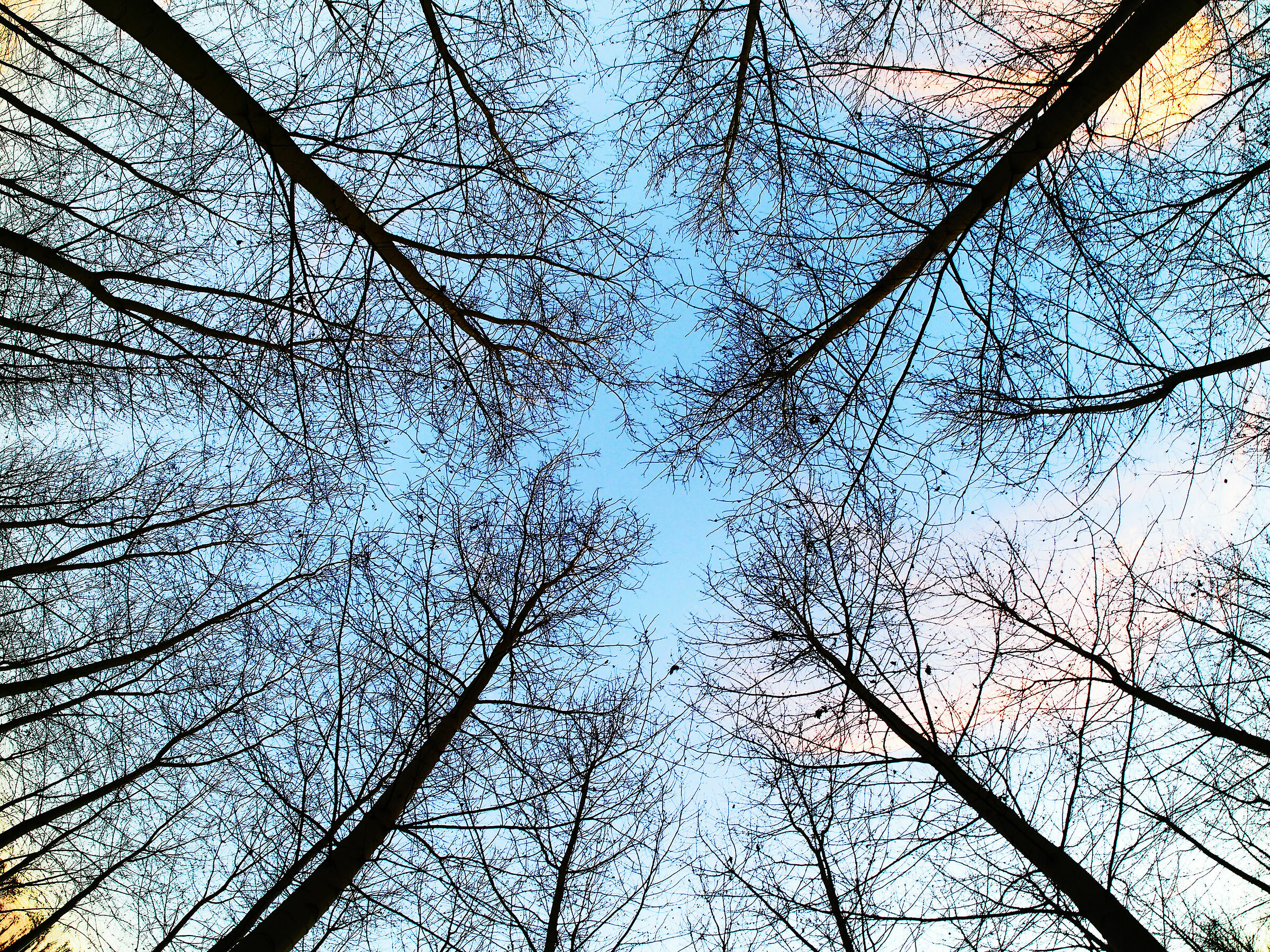 Natural convergences