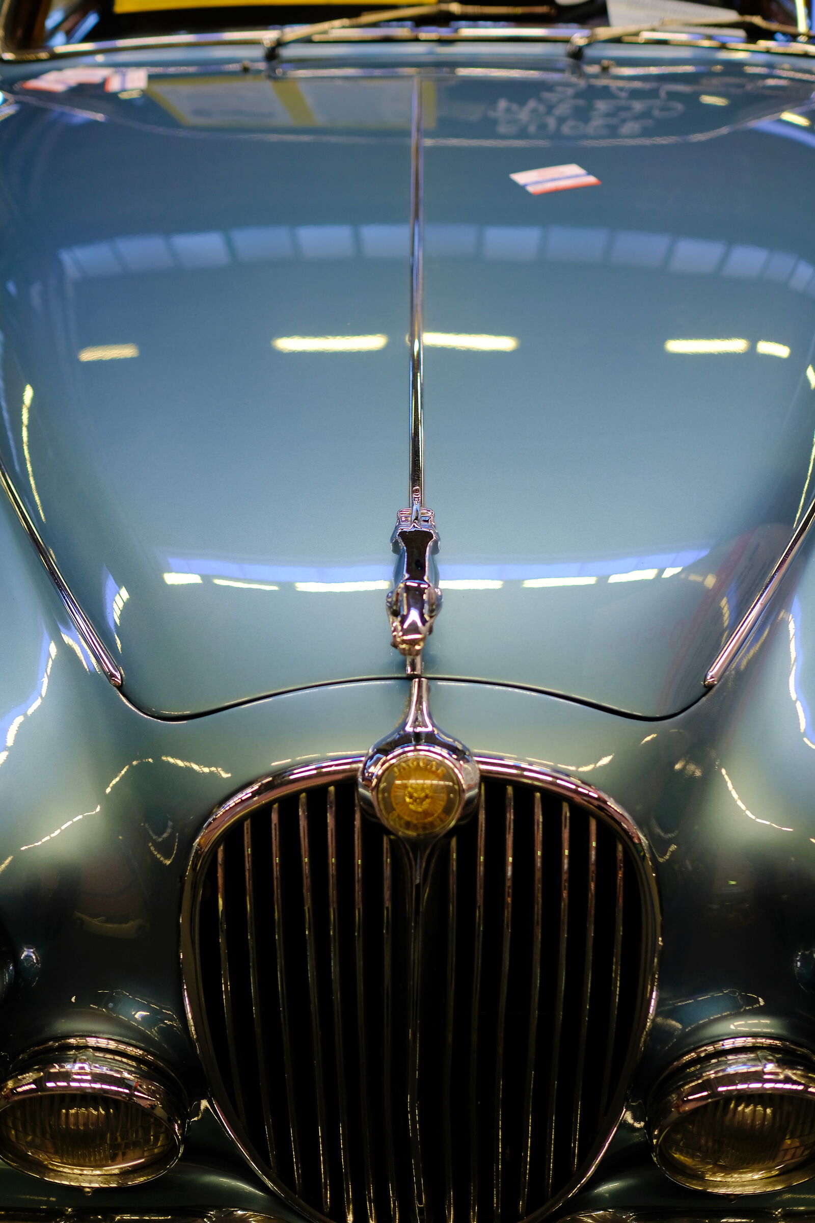 Jaguar