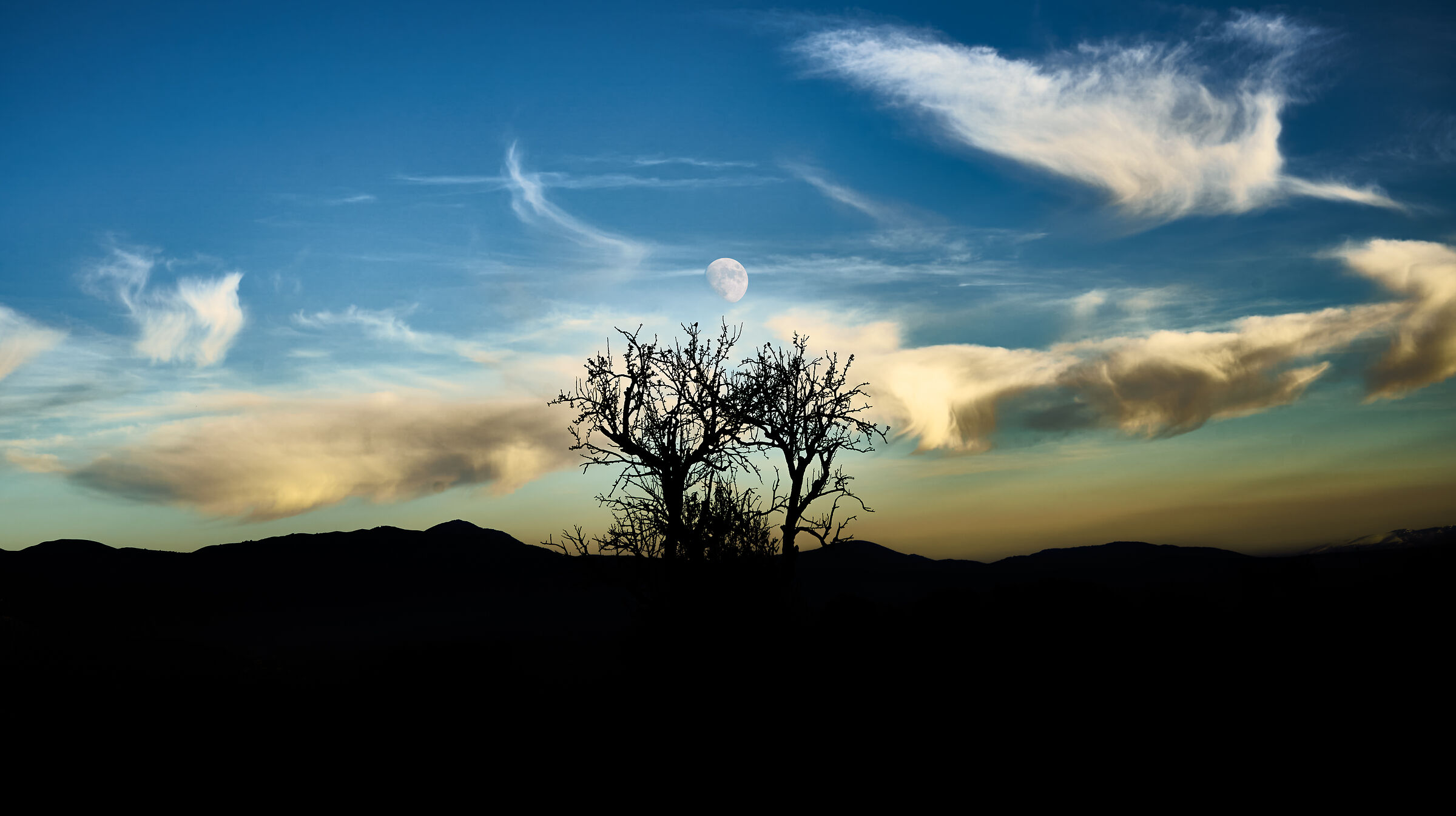 Untitled Photo