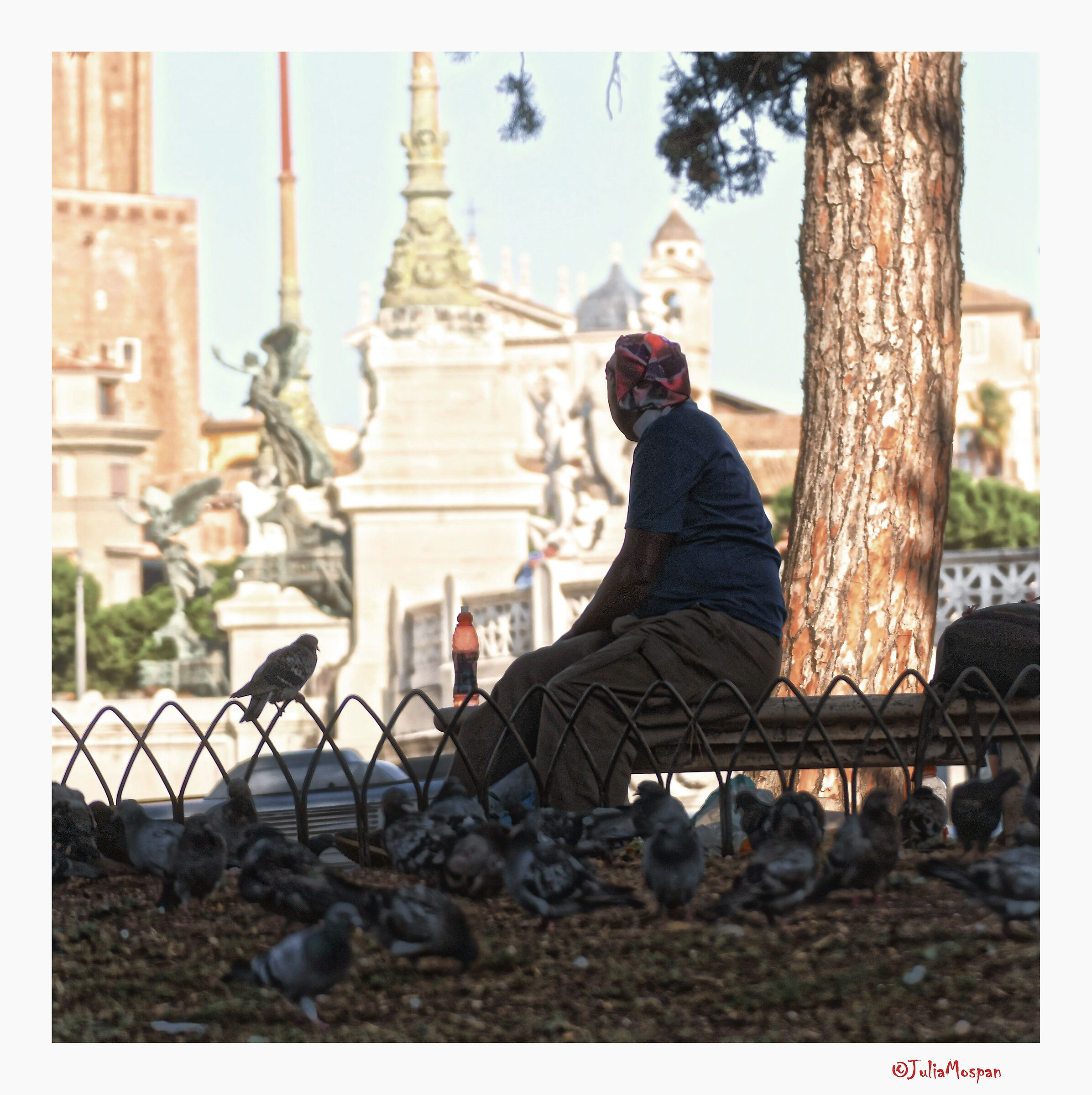 Piazza Venezia. Roma