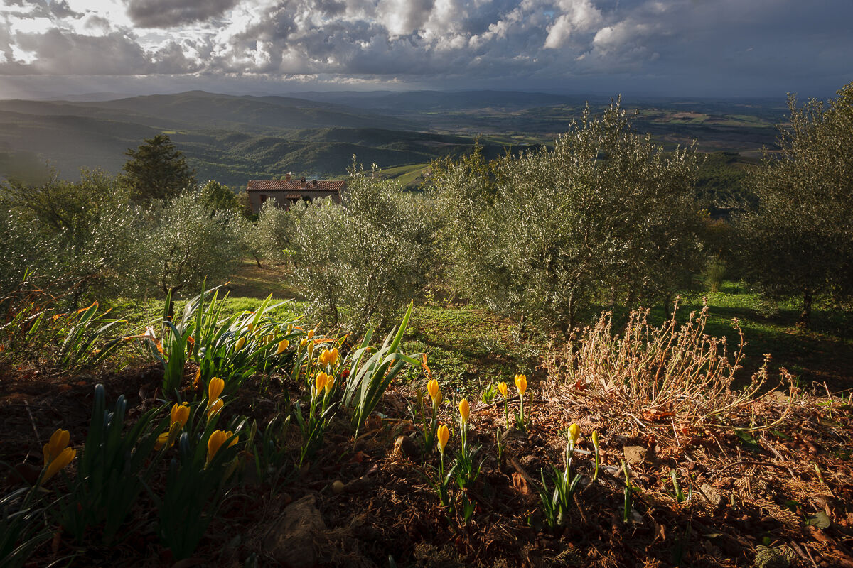 A Tuscan afternoon ...