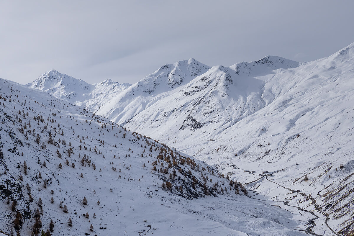 Valle alpina