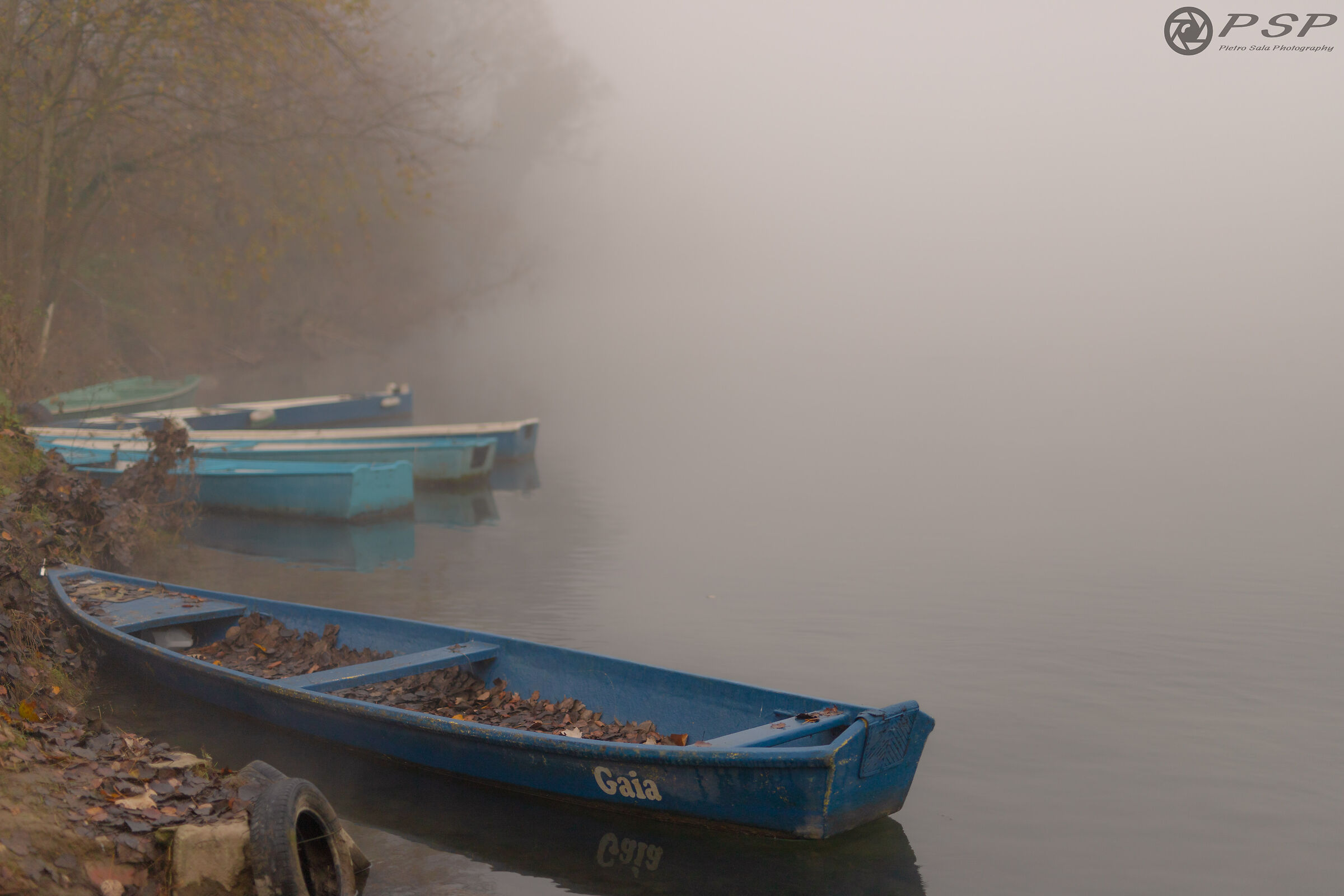 On that foggy late autumn morning