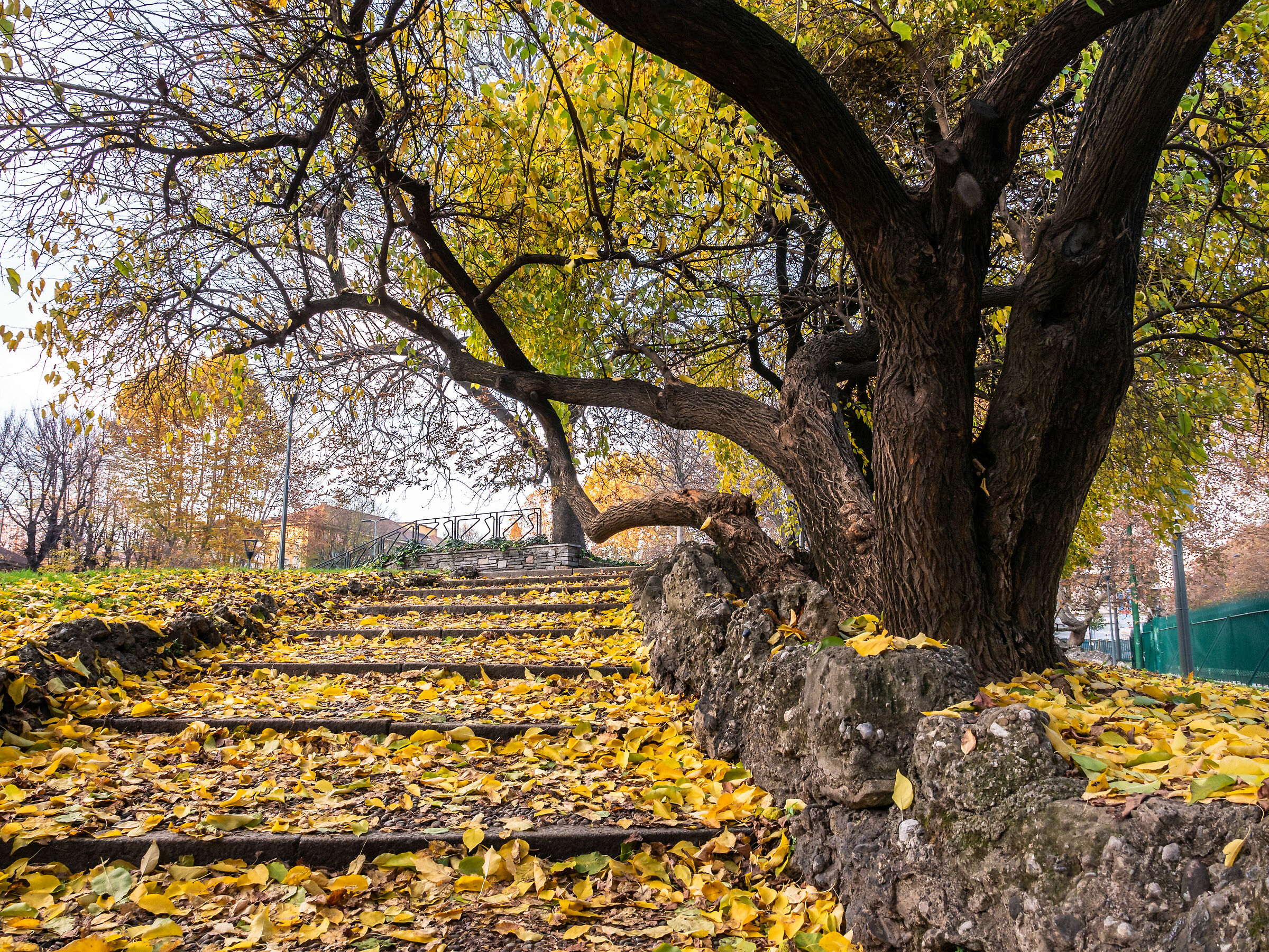 Garden 9 November - Milan