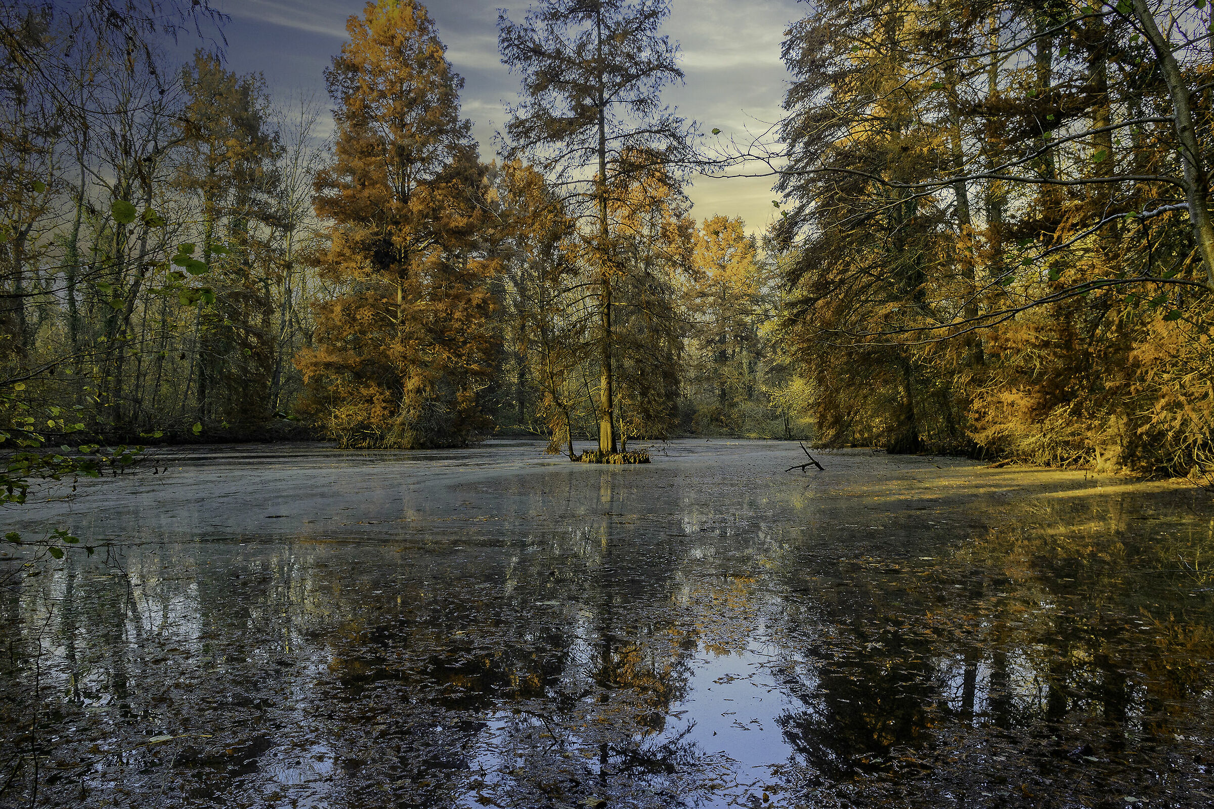 Autunno nel Parco Ticino