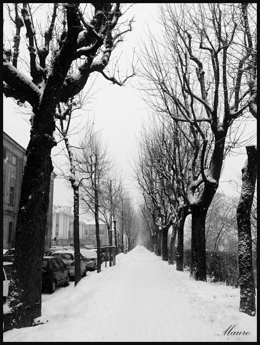Il viale innevato...