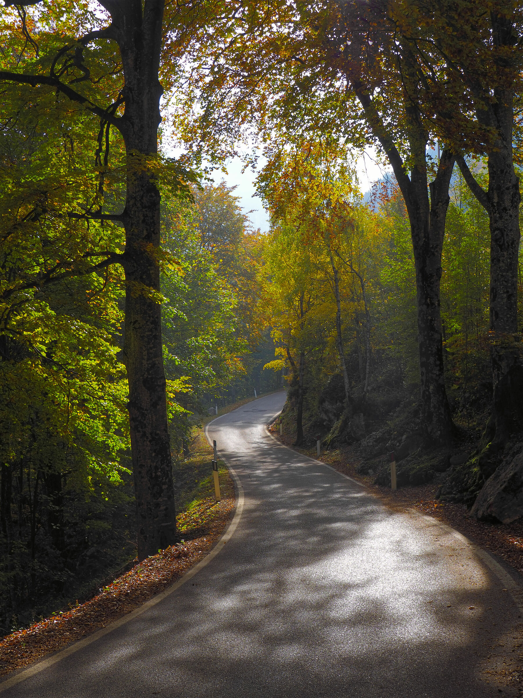 percorso verso l'autunno