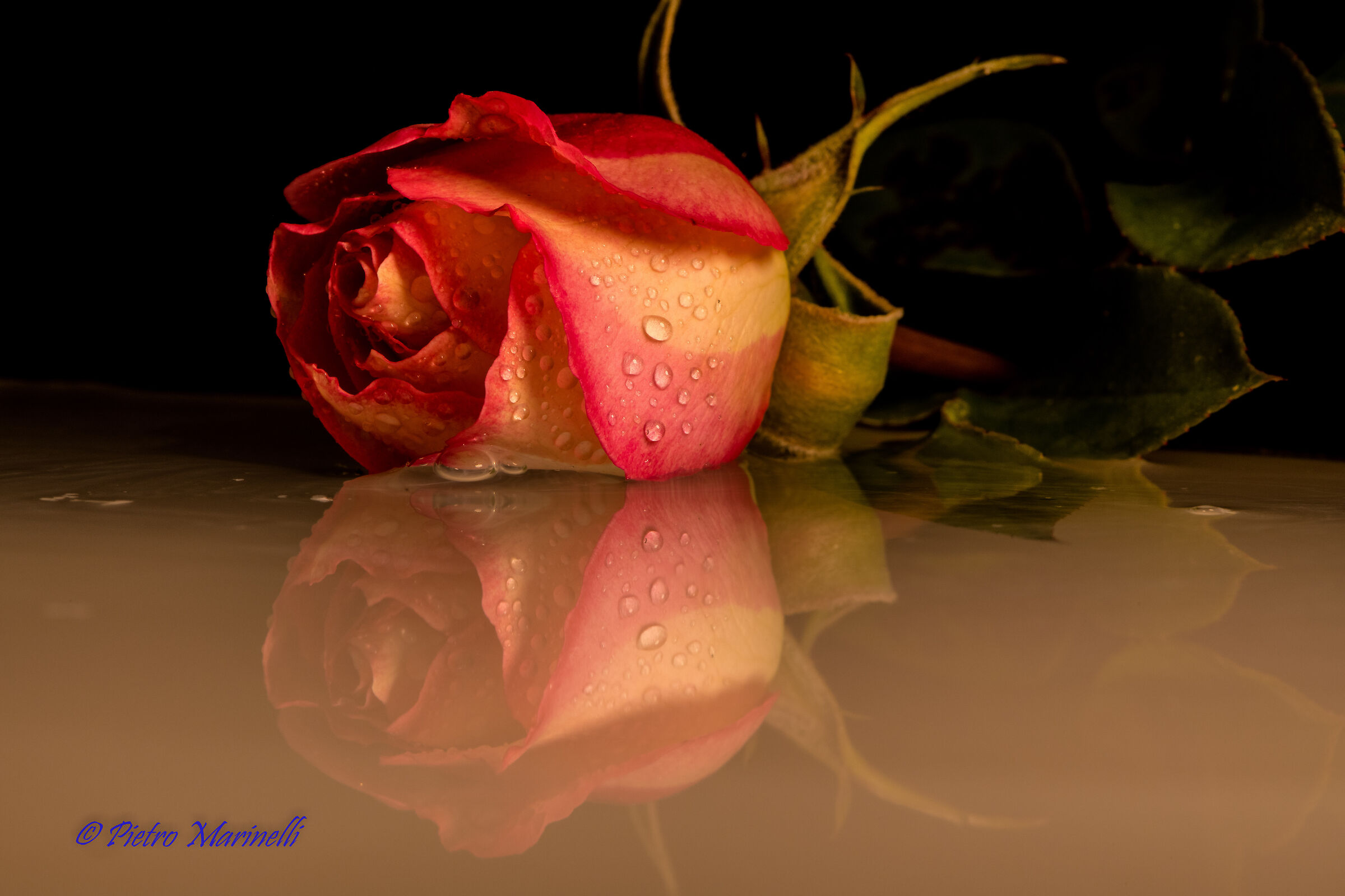 mirror my mirror ...........