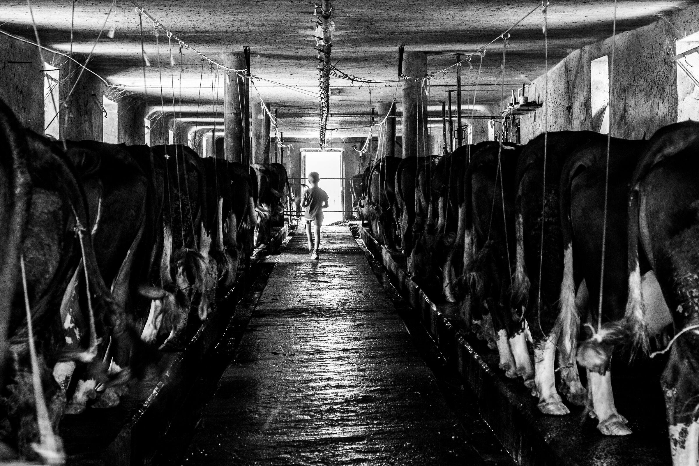 La luce in fondo al tunnel?