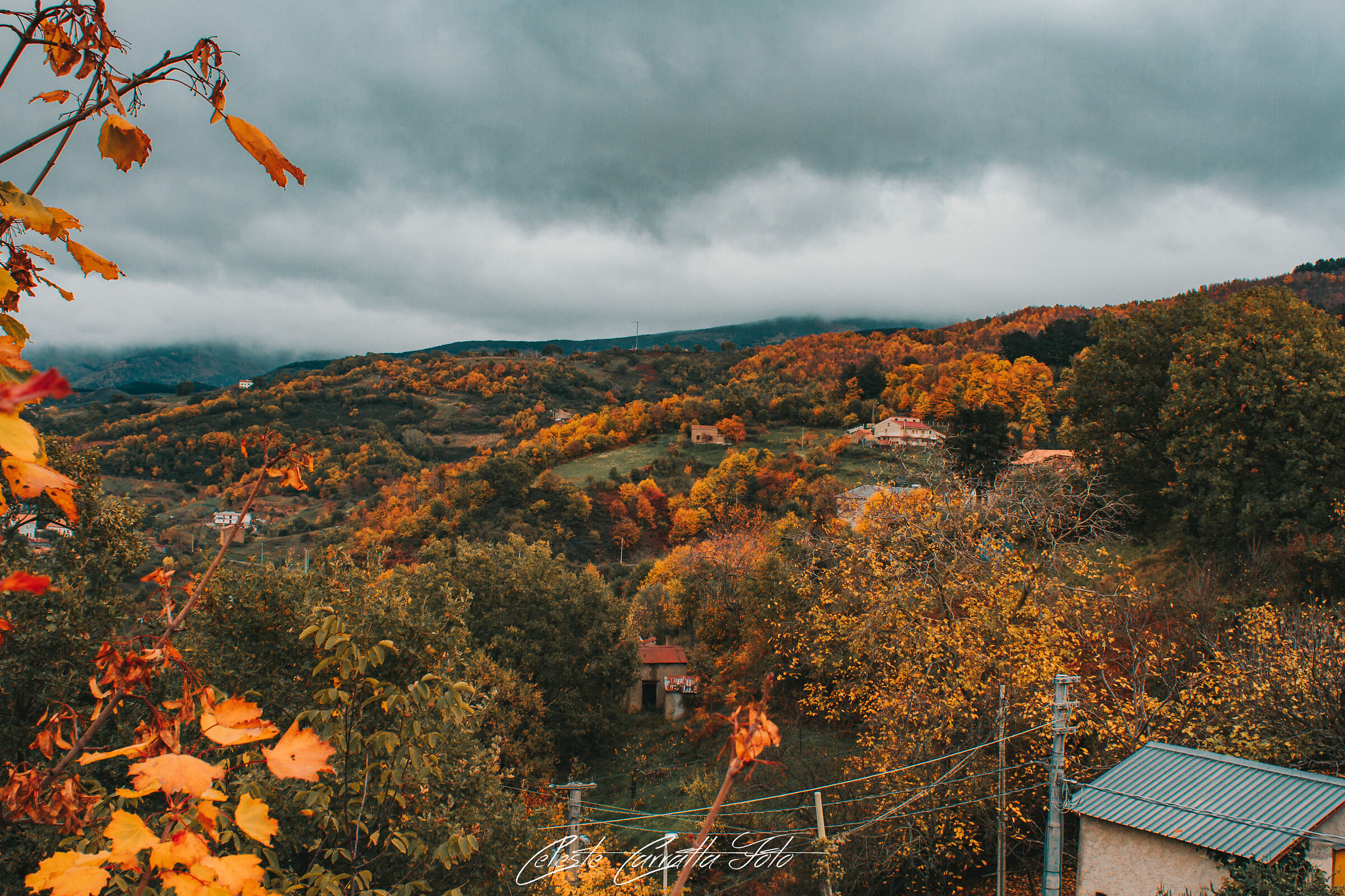I colori dell'autunno