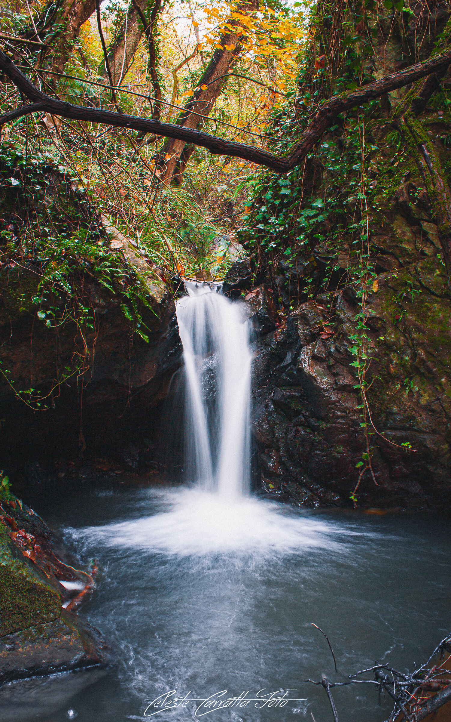 Il rumore della nature ravviva i sensi...