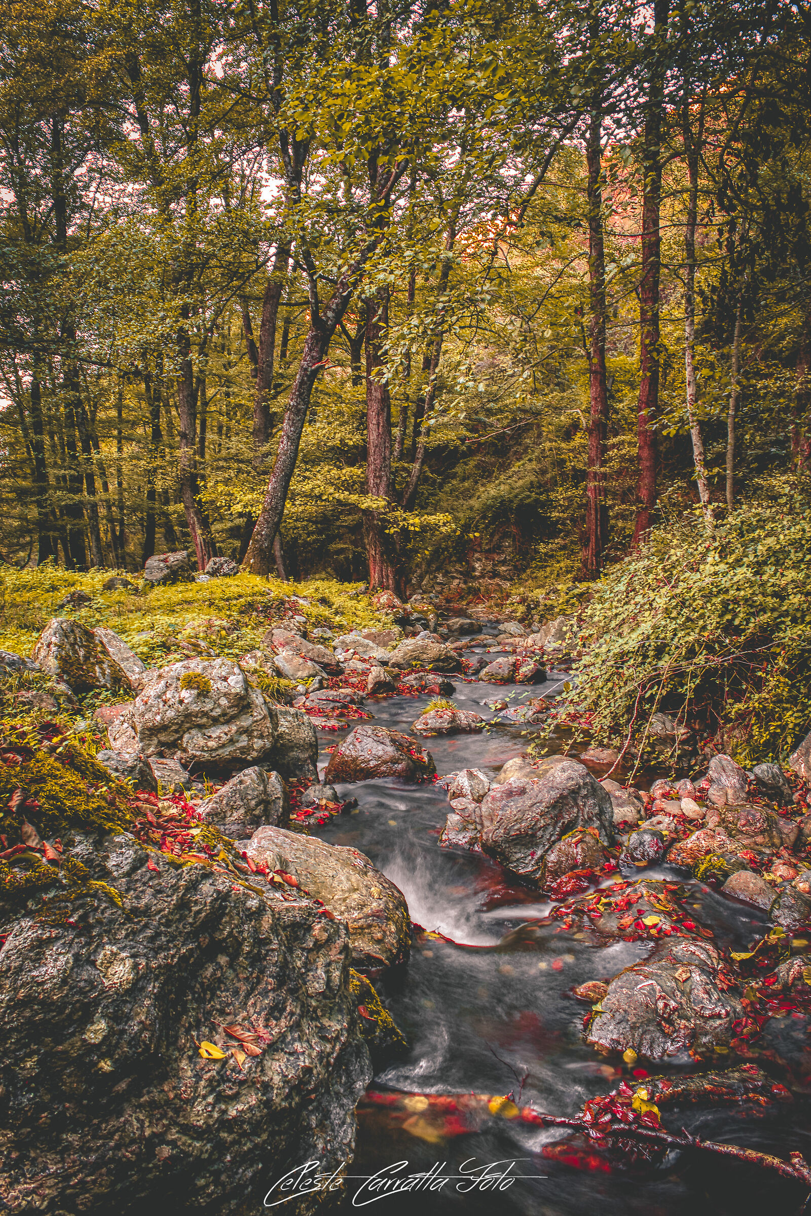 La natura è meravigliosa 2