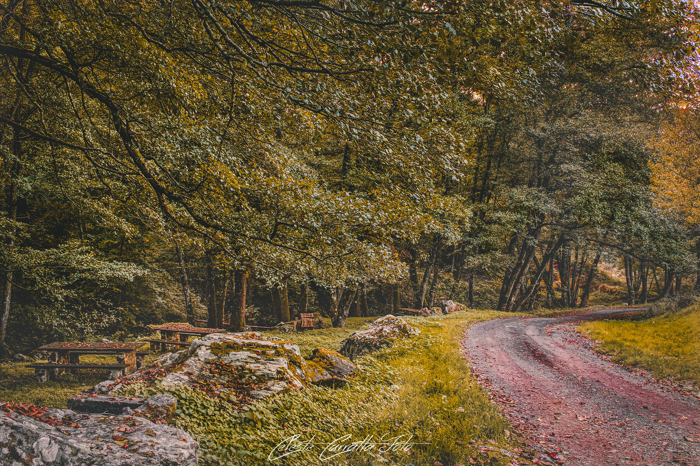 La natura è meravigliosa 3