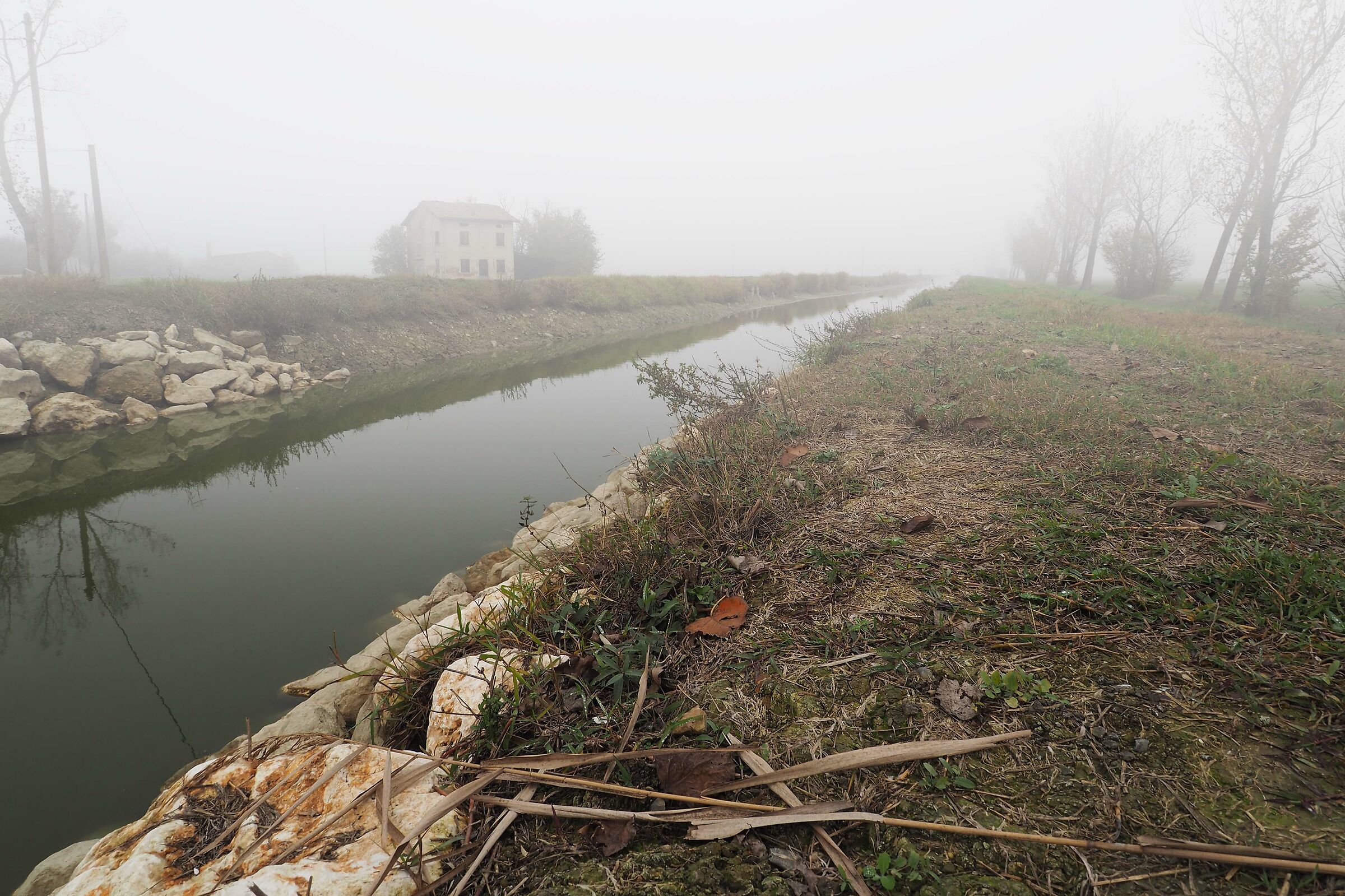 Landscape in the Mist