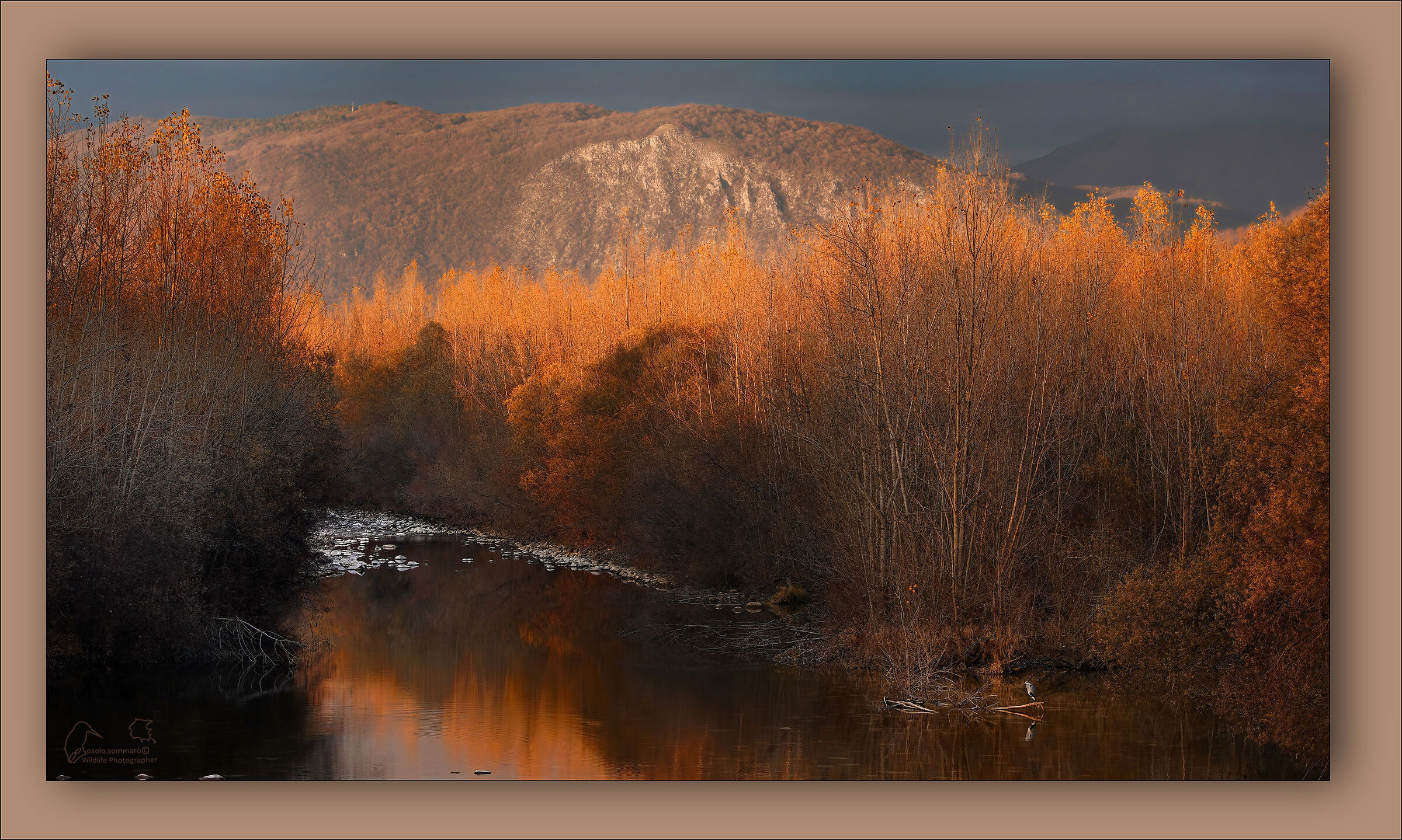 I colori dell'autunno...
