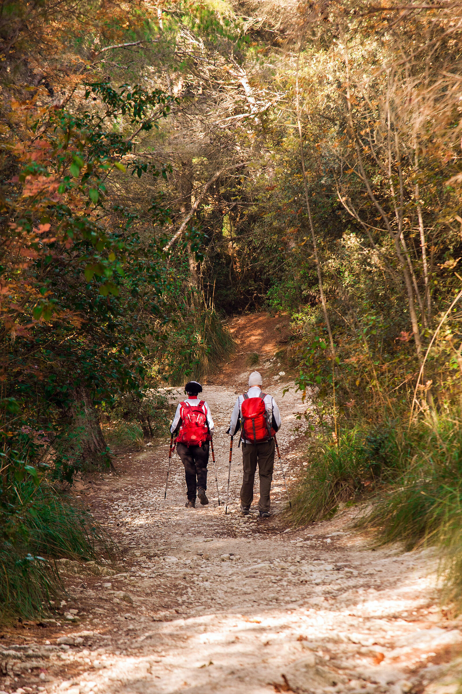 Le sorprese del Conero