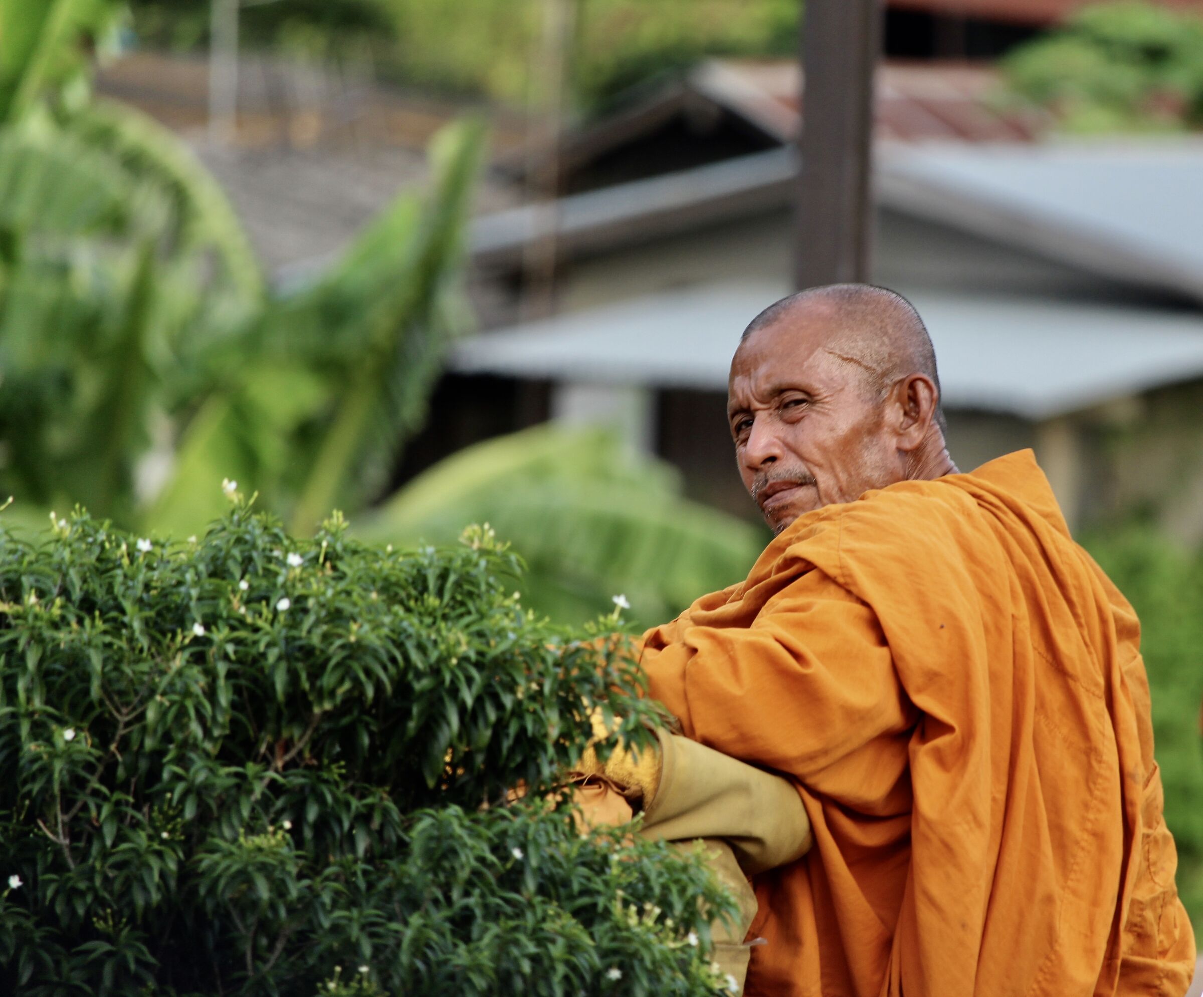 Monk