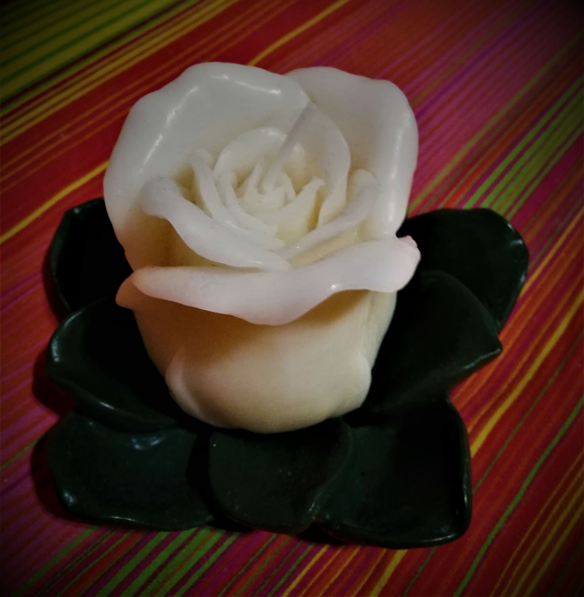 una rosa...di cera...