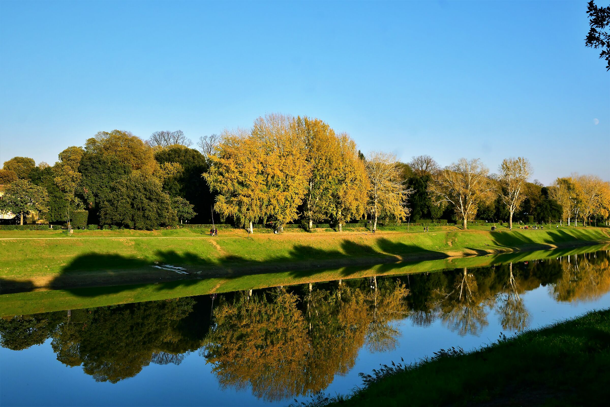 cascine park in Florence