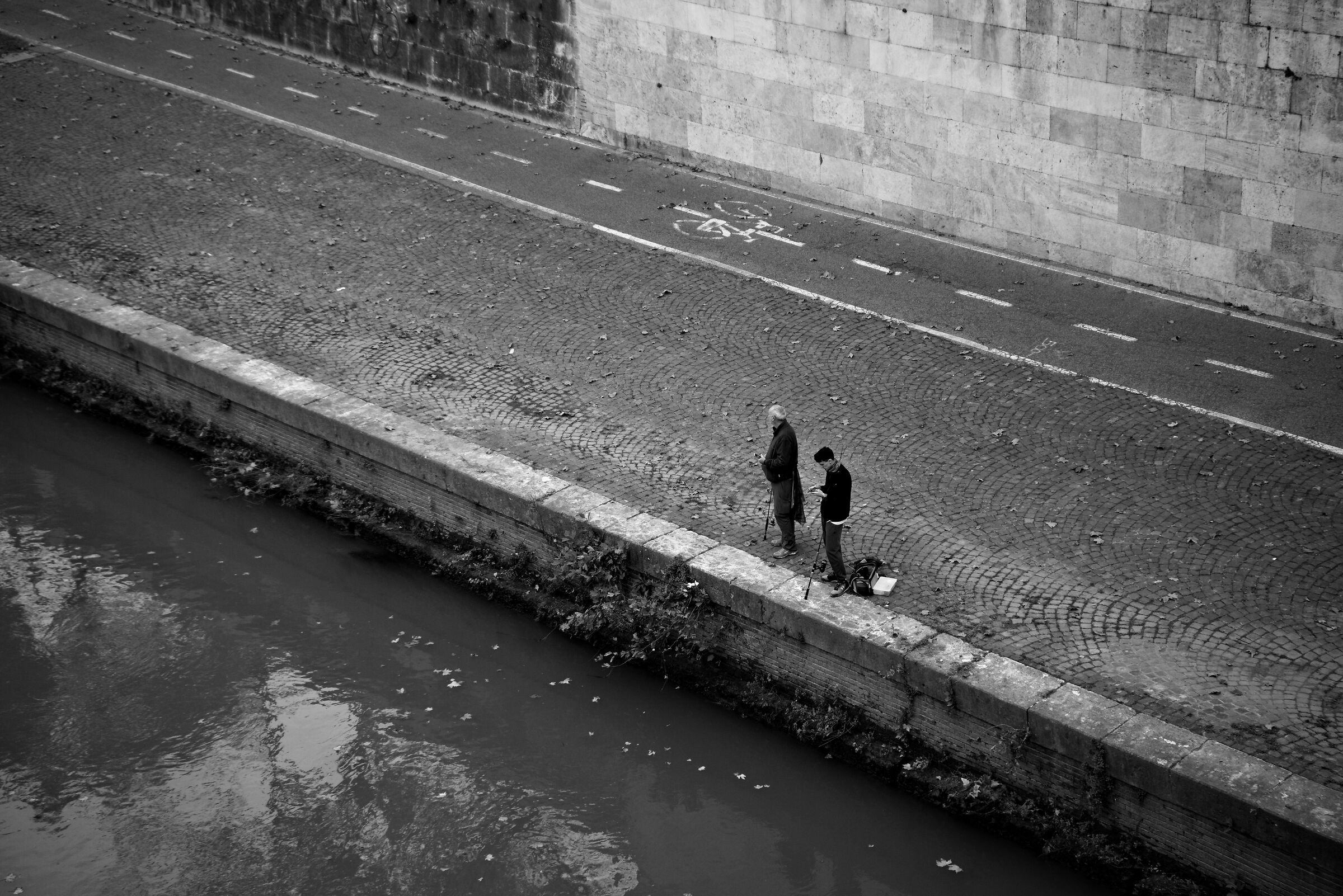 Untitled Photo