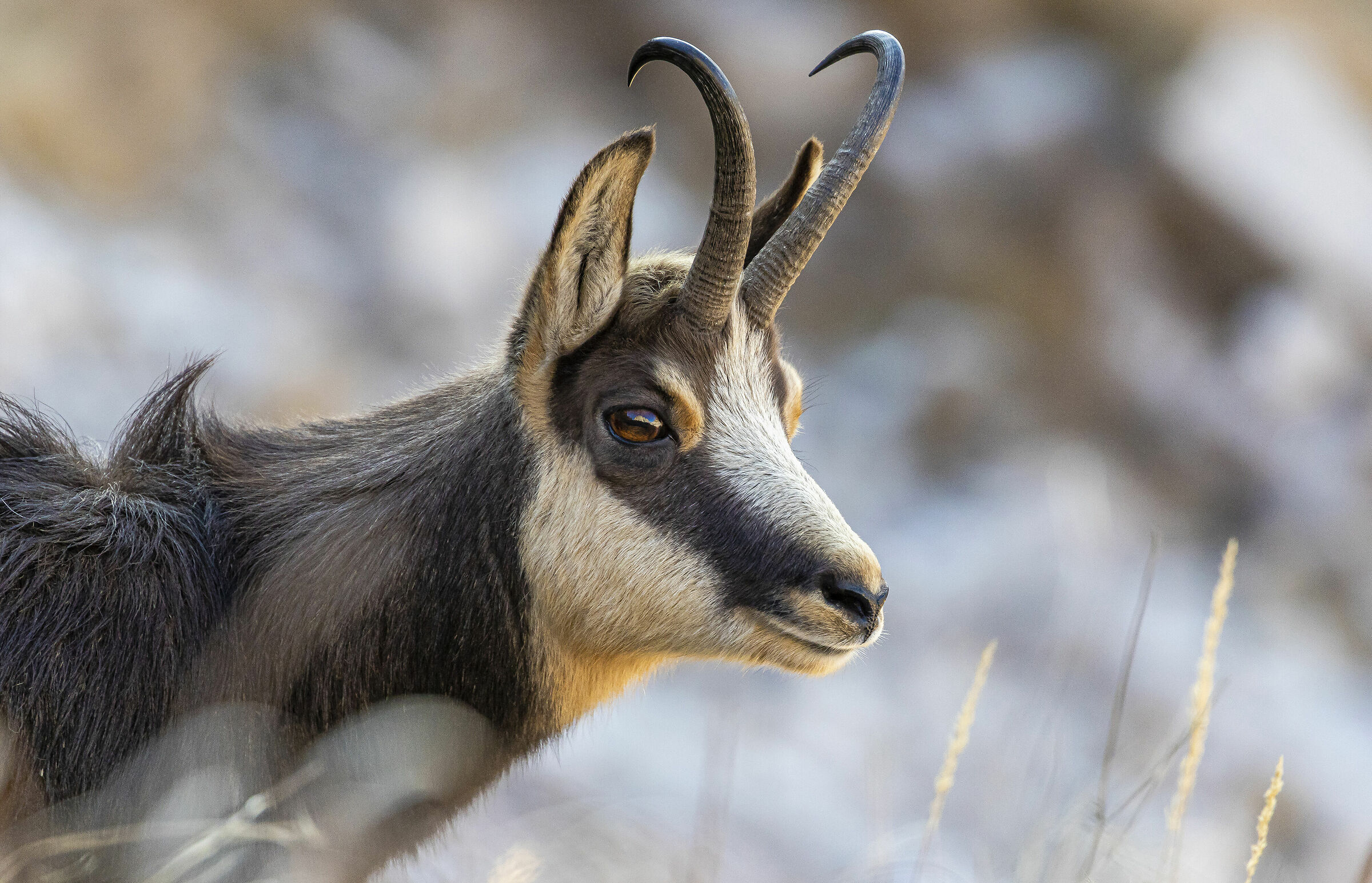 My world reflected in my eye