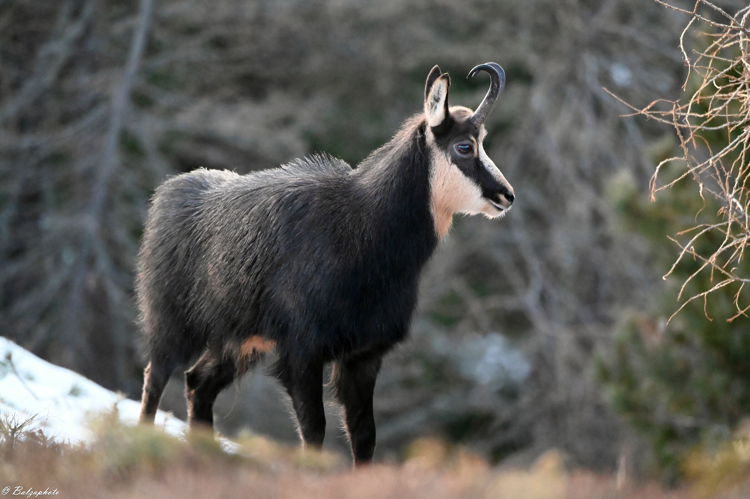 Ci siamo incrociati e ognuno è andato per la sua stra...
