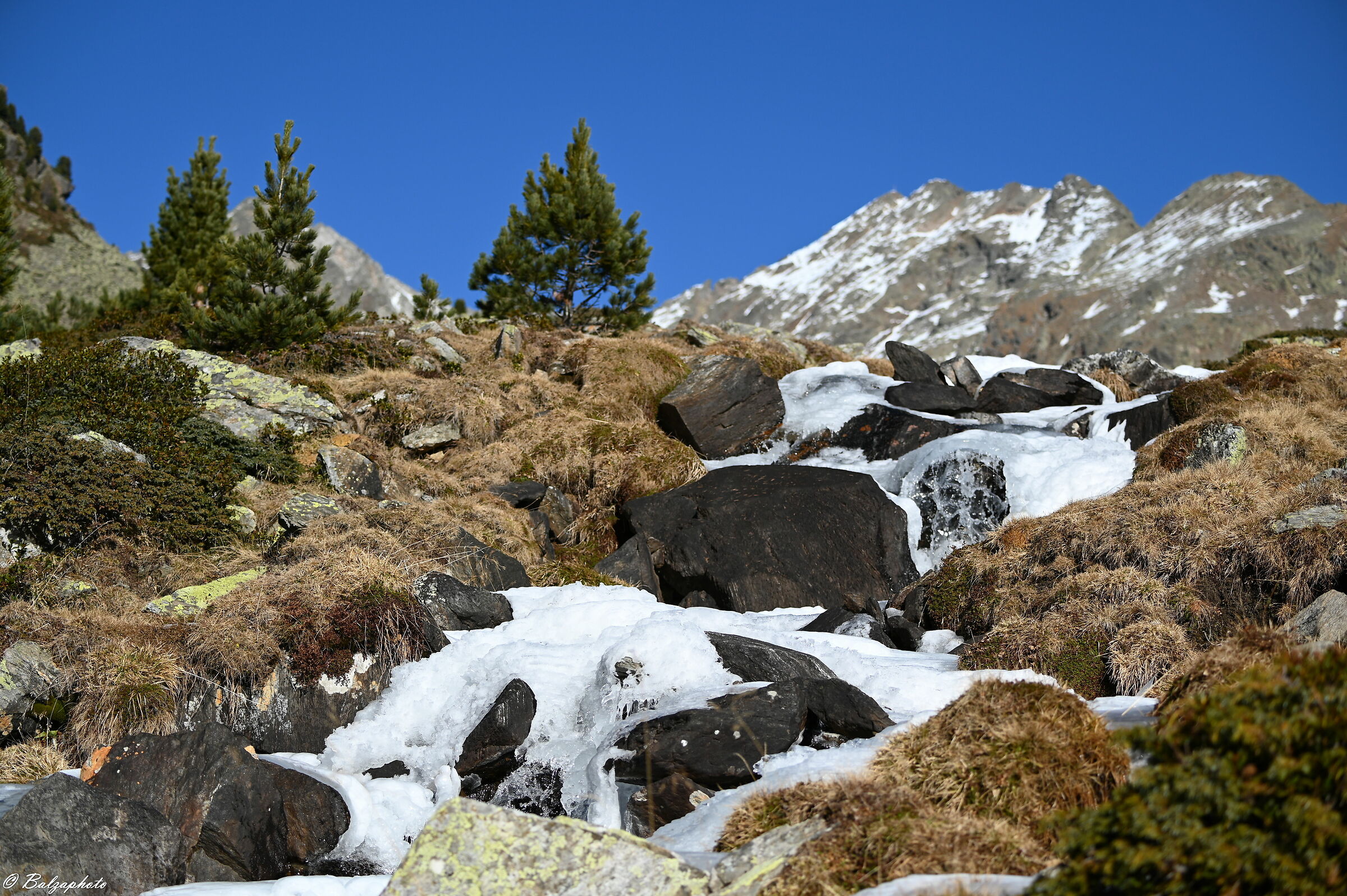 Arrivano i primi freddi e tutto si ricopre di ghiaccio