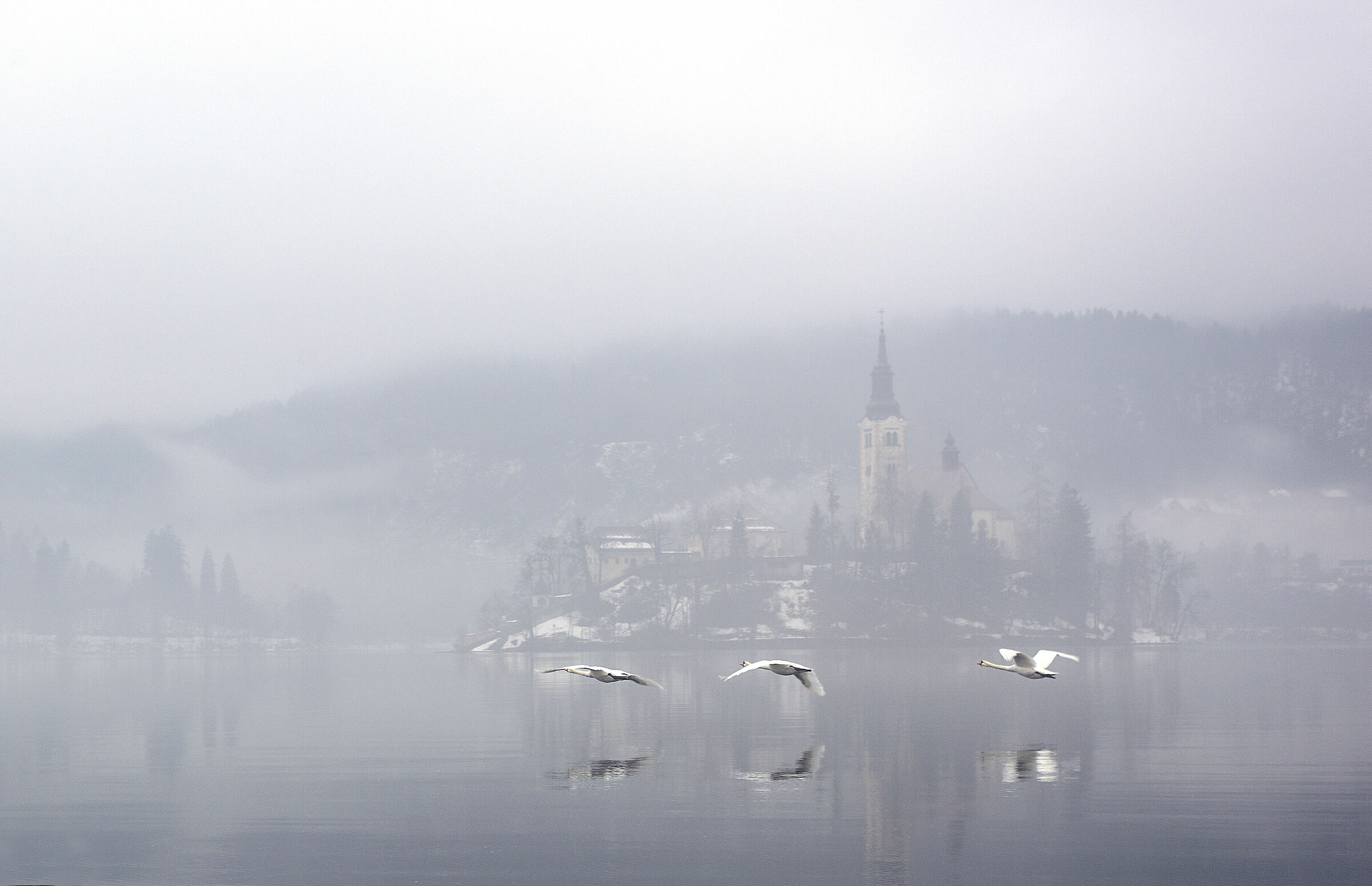 thick fog on Bled