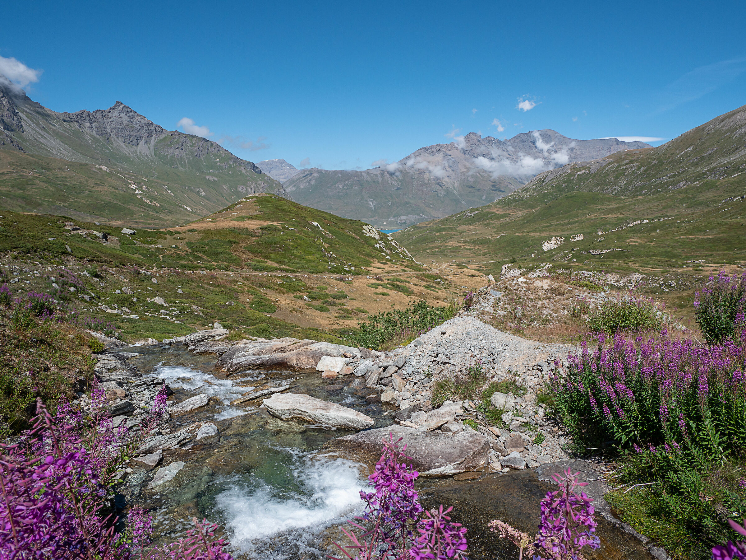 Moncenisio mountain landscape