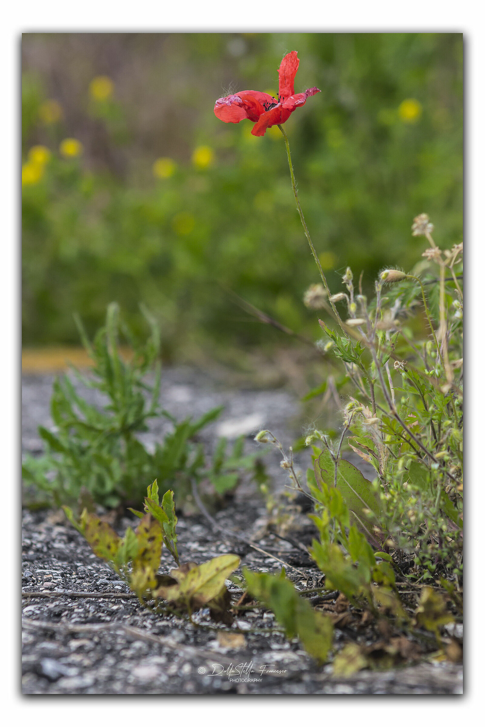 Il luogo impensabile
