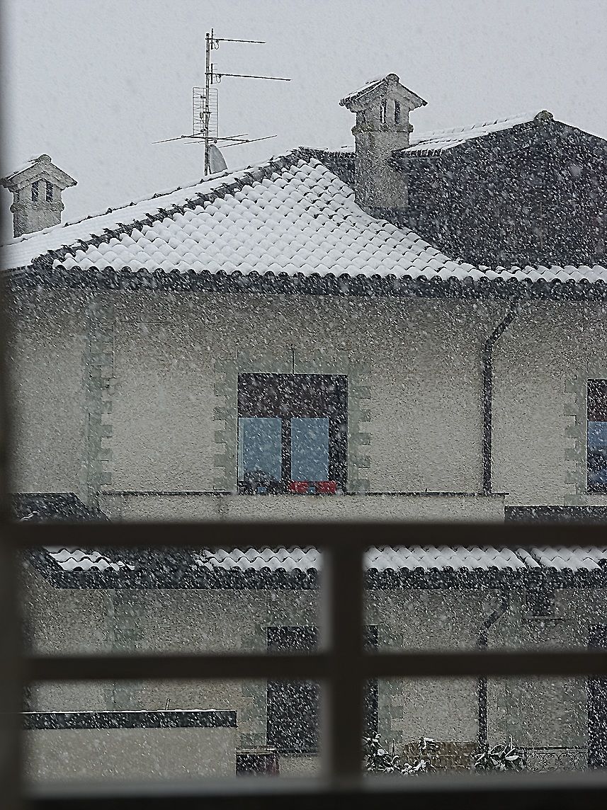 Guarda come nevica
