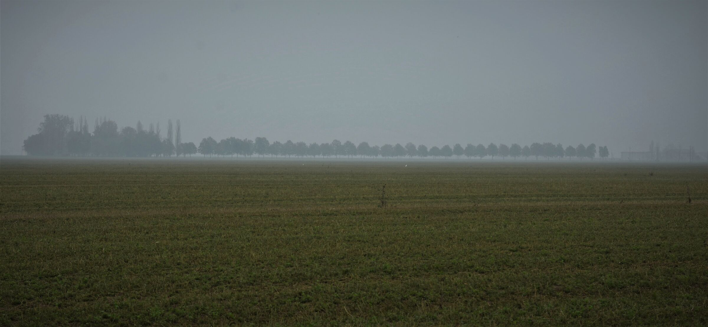 un un'orizzonte  ...di pianura