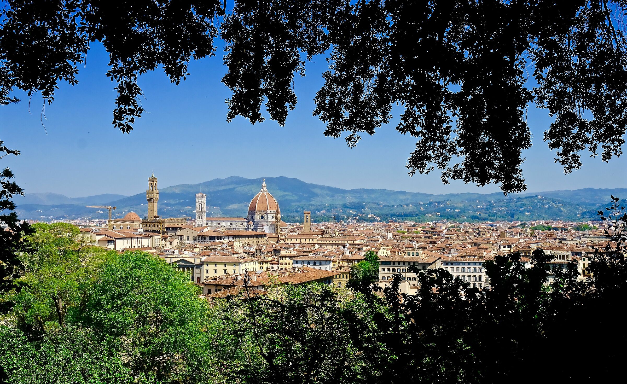 Una cartolina da Firenze