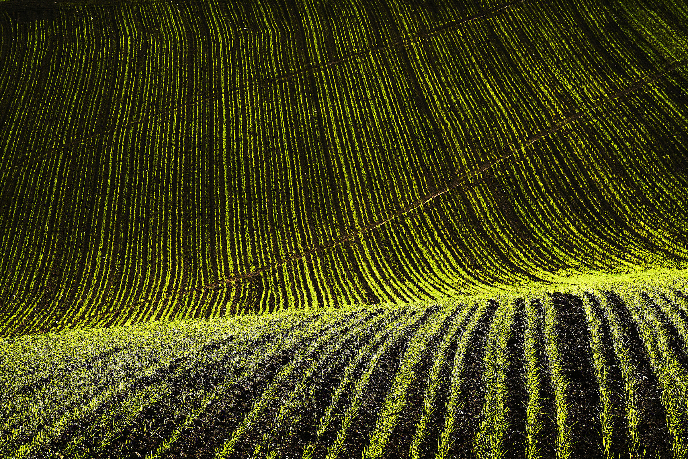 Colori nelle onde IV