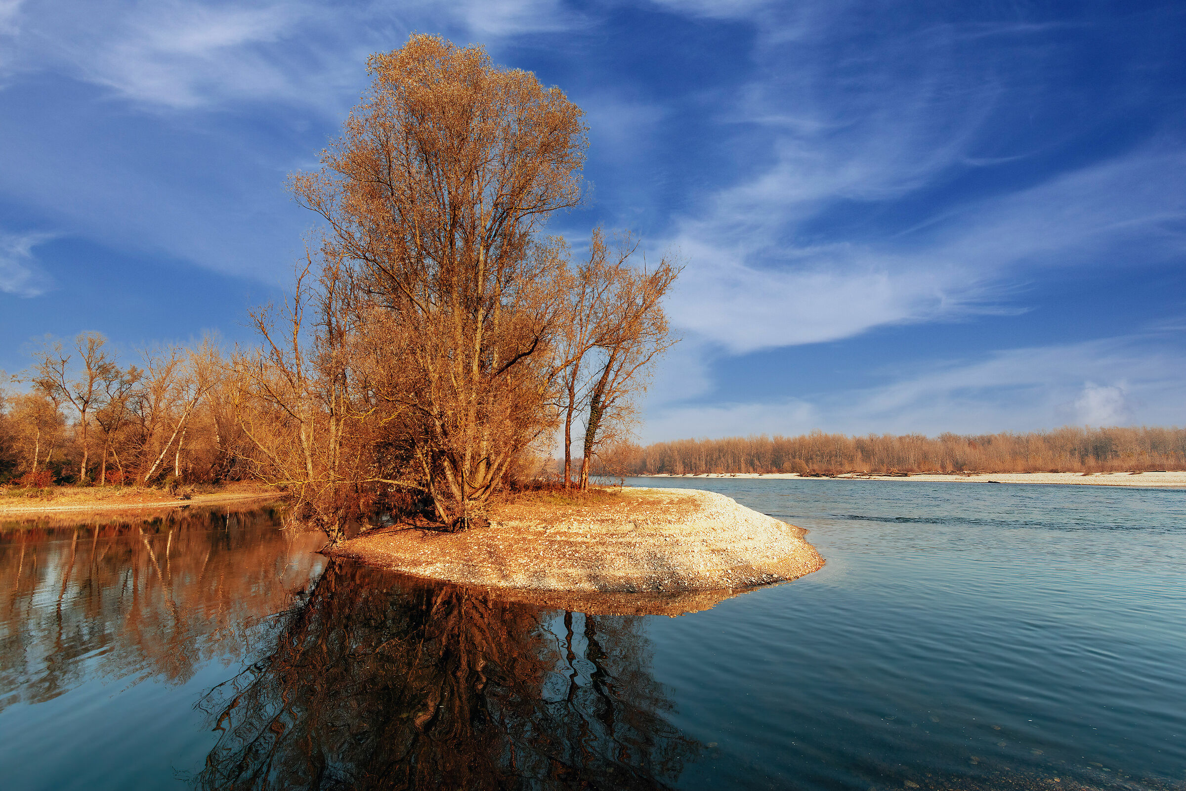 L'isola che non c'è