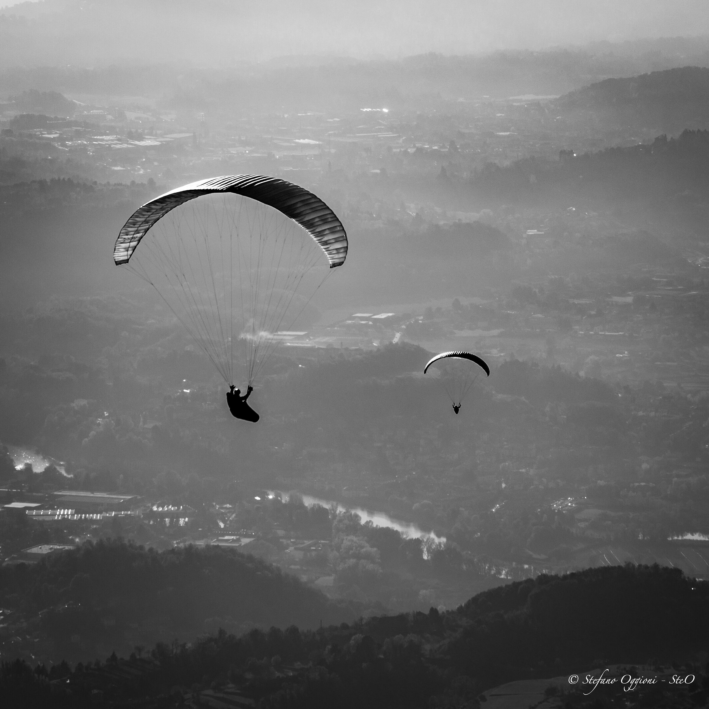 Volo