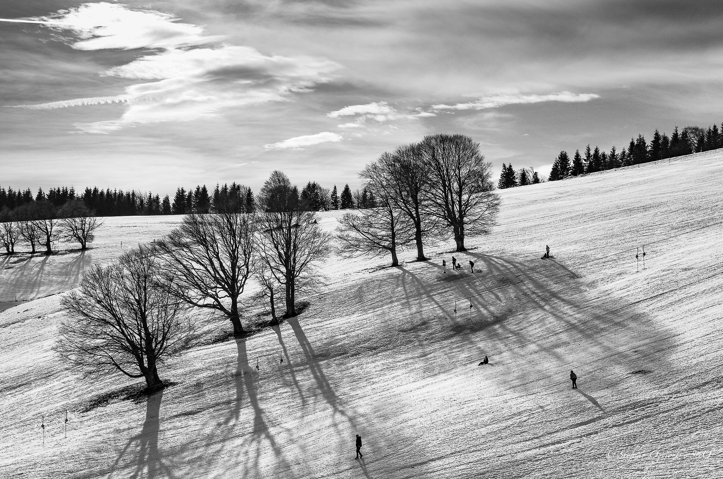 Slittare