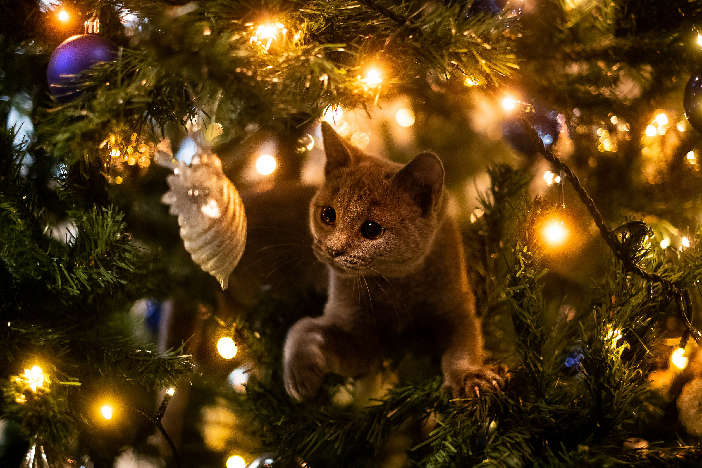 hunting season is upon us