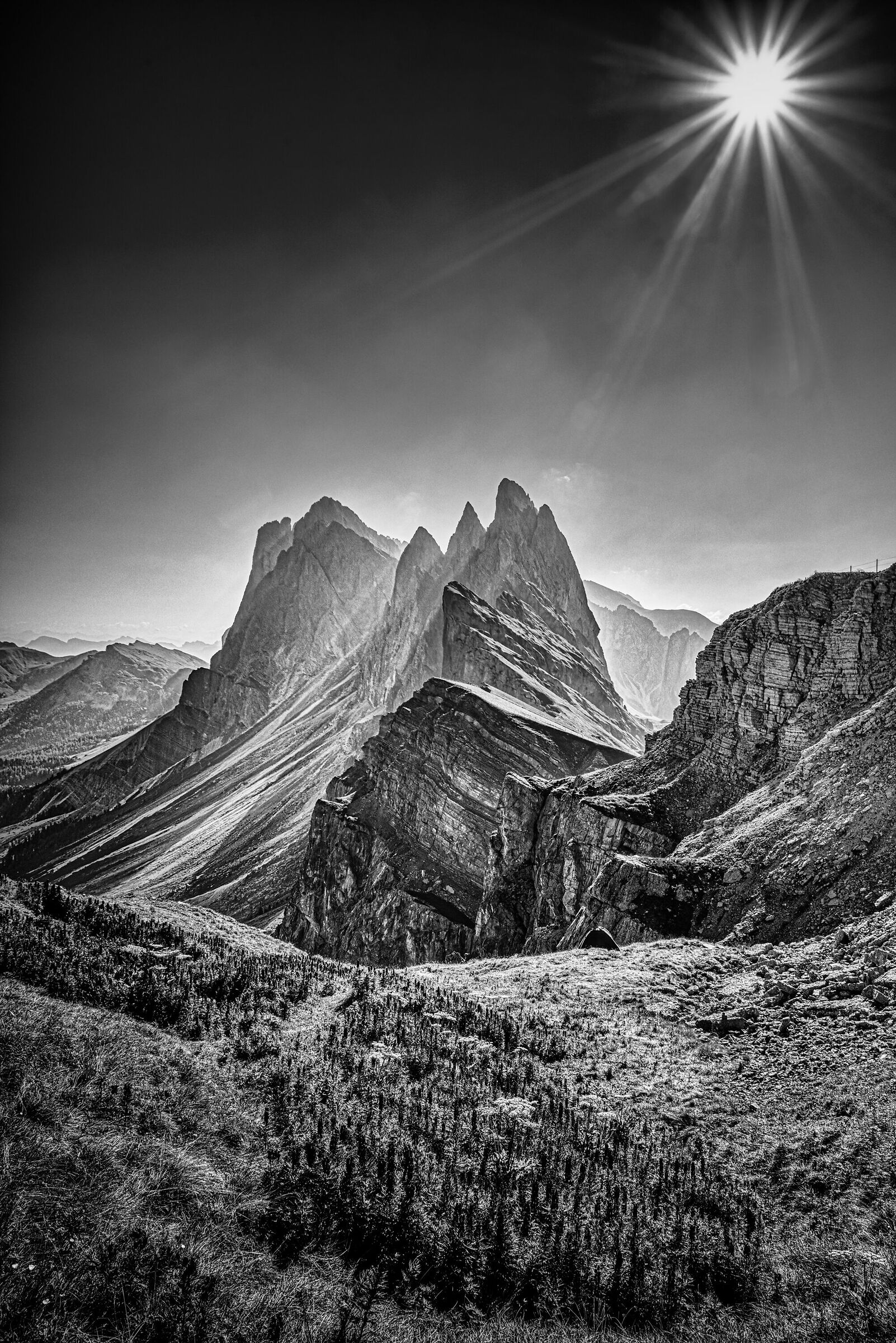 seceda